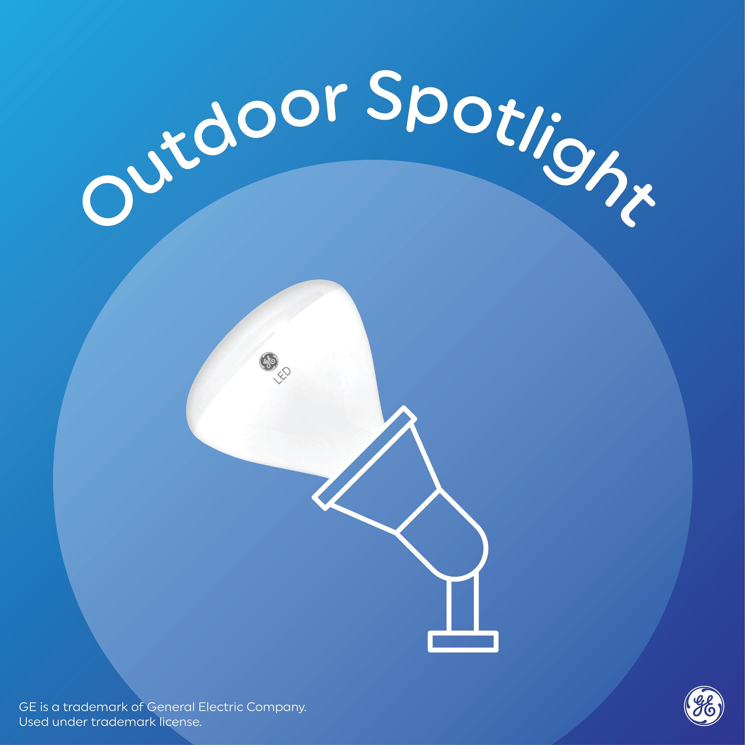 Energetic LED Flood PAR38 Light Bulb, 5000K Daylight, 90W Equivalent, Efficient 11W, Wet Rated, 900 Lumens, Medium Base, Non-Dimmable, 2 Pack