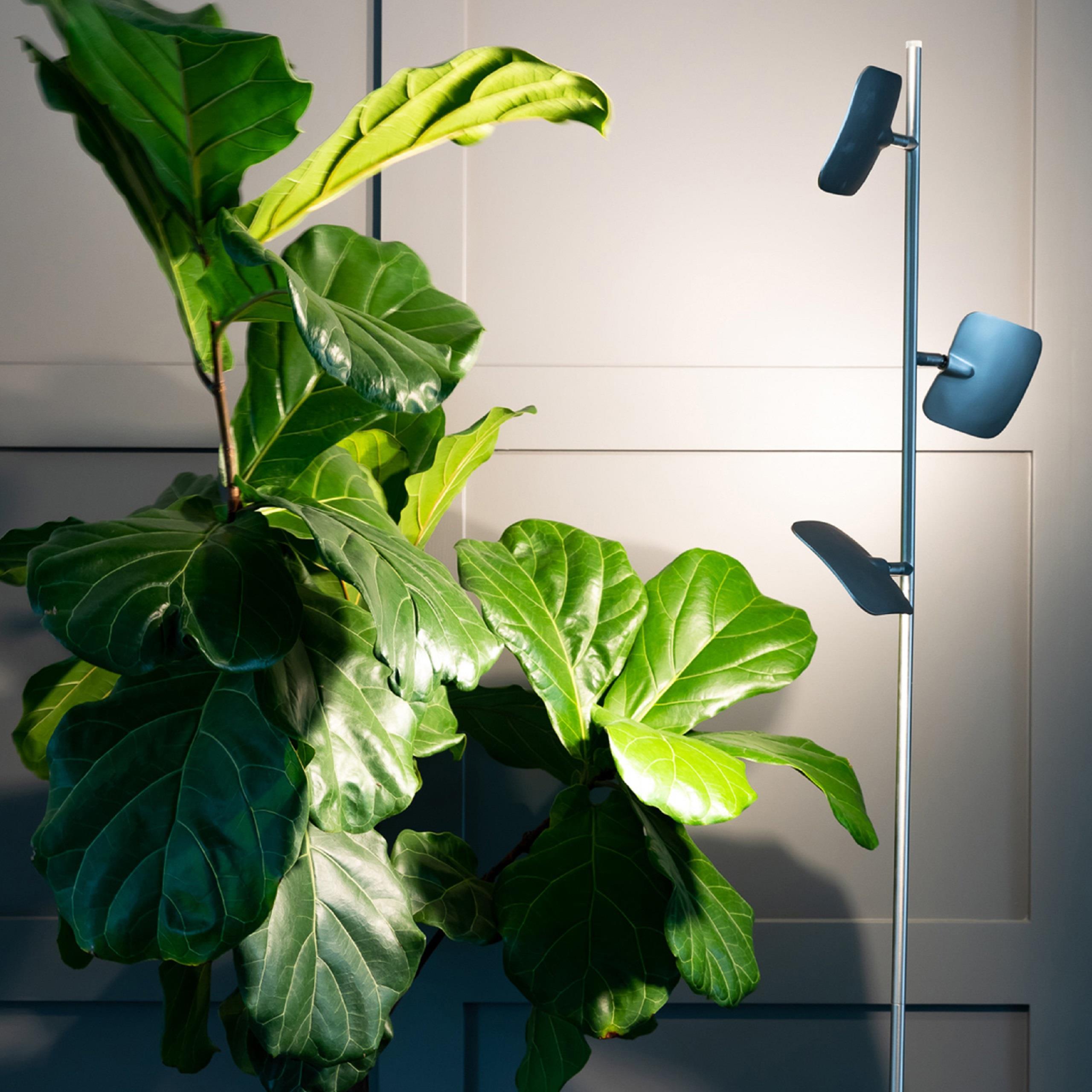 Brightech Tree Industrial LED 3-Way Dimming Floor Lamp with 3 Adjustable Spot Lights