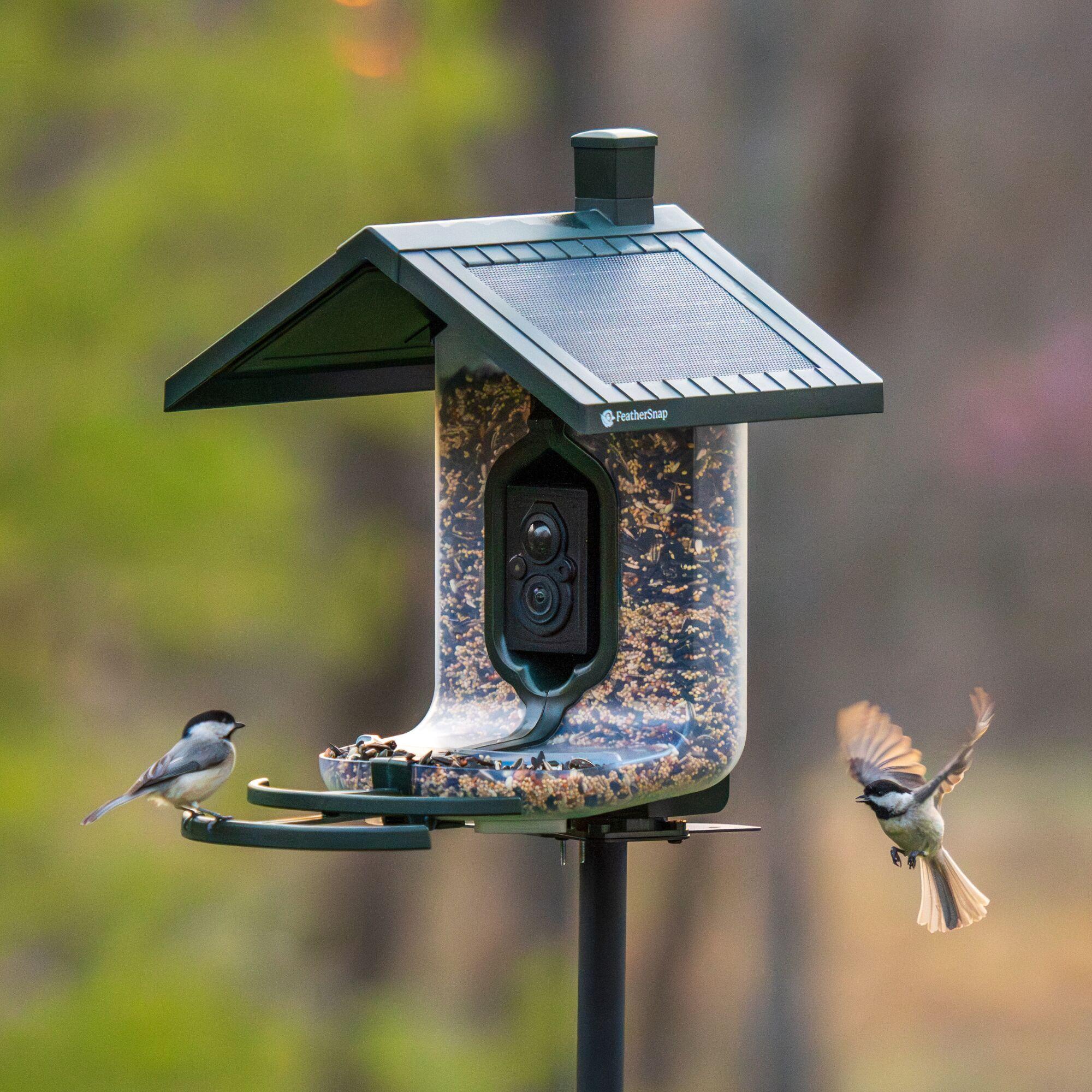 Feathersnap Scout WiFi Solar-Powered Smart Bird Feeder