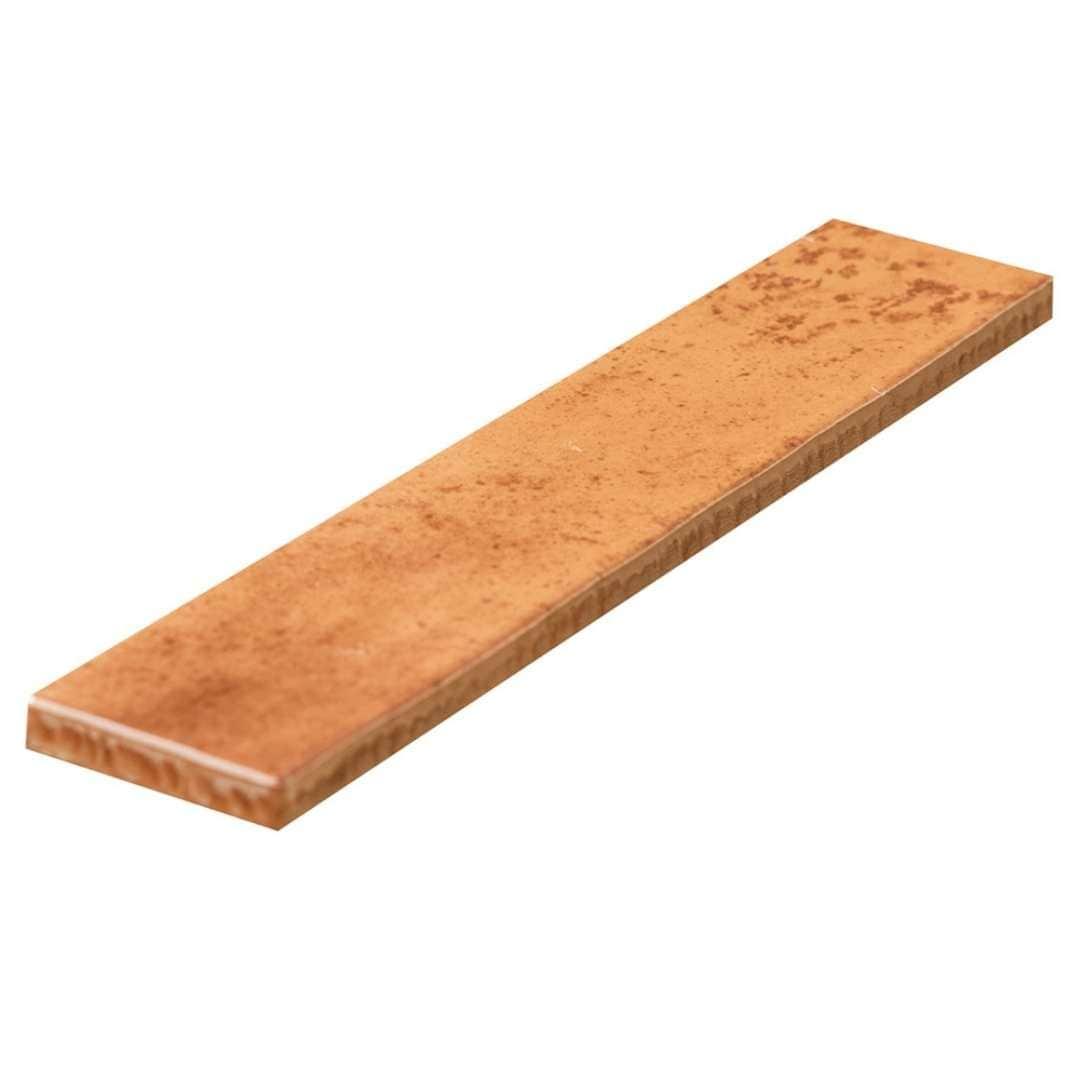 The Tile Life Ibiza 2x10 Terracotta Glossy Ceramic Subway Wall Tile - 2x10 Sample