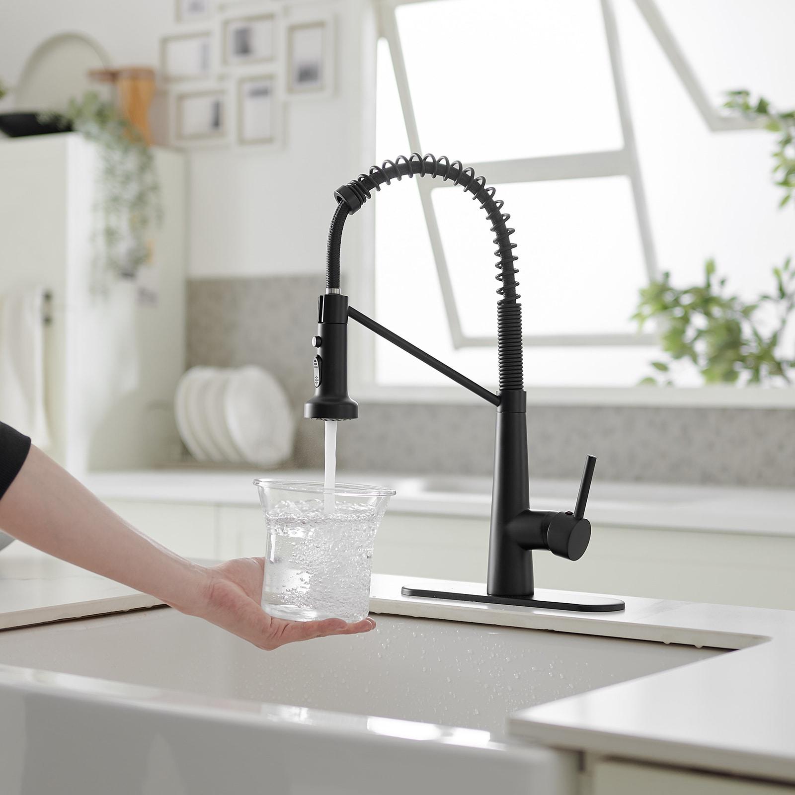 Single-Handle Pull-Down Sprayer 2 Spray High Arc Kitchen Faucet With Deck Plate