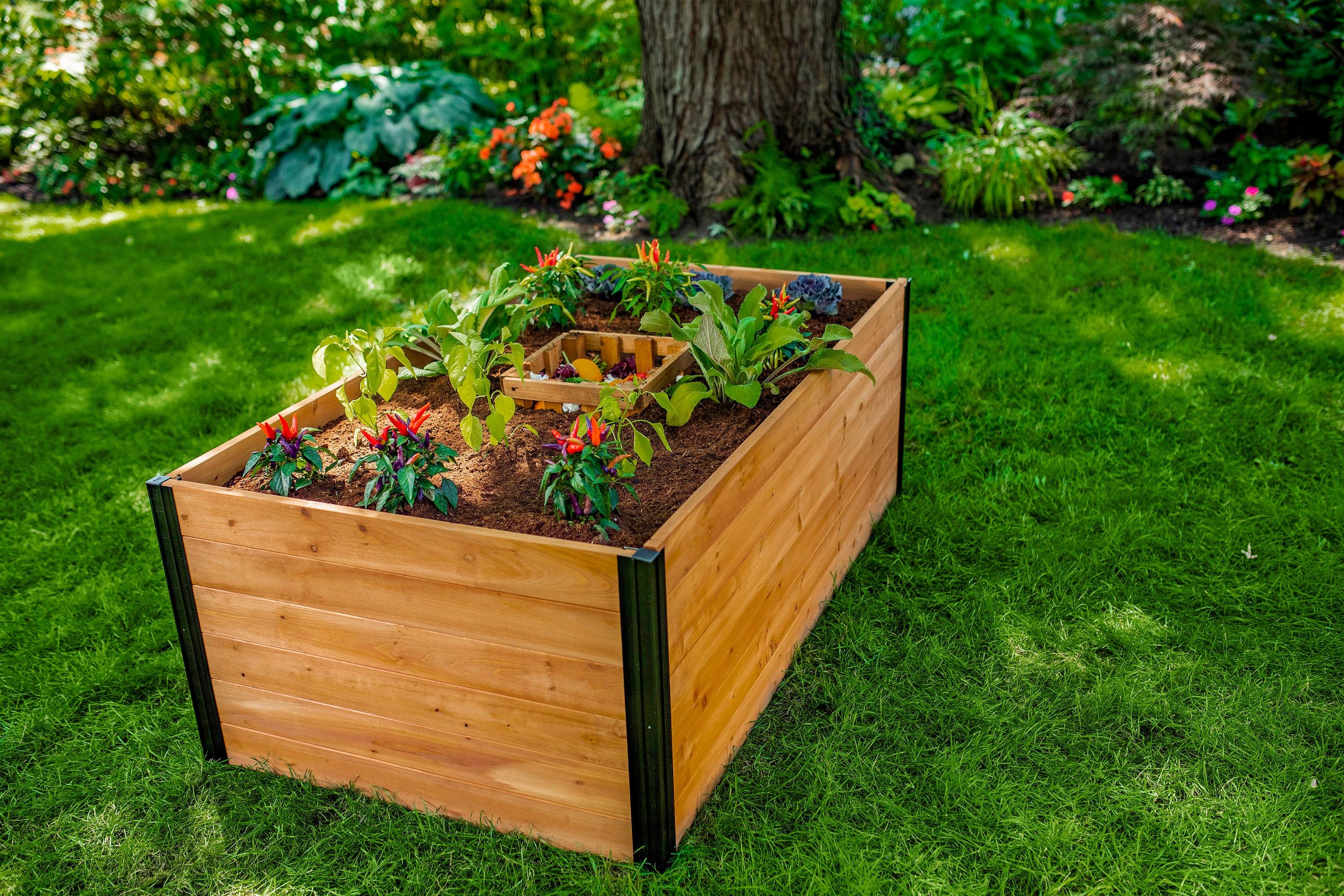 Vita Mezza 3' L x 5' W Cedar Keyhole Composting Garden, Golden Brown, VT17702