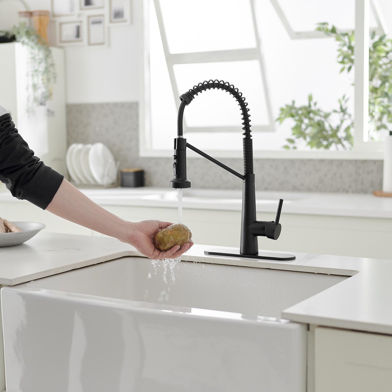 Single-Handle Pull-Down Sprayer 2 Spray High Arc Kitchen Faucet With Deck Plate