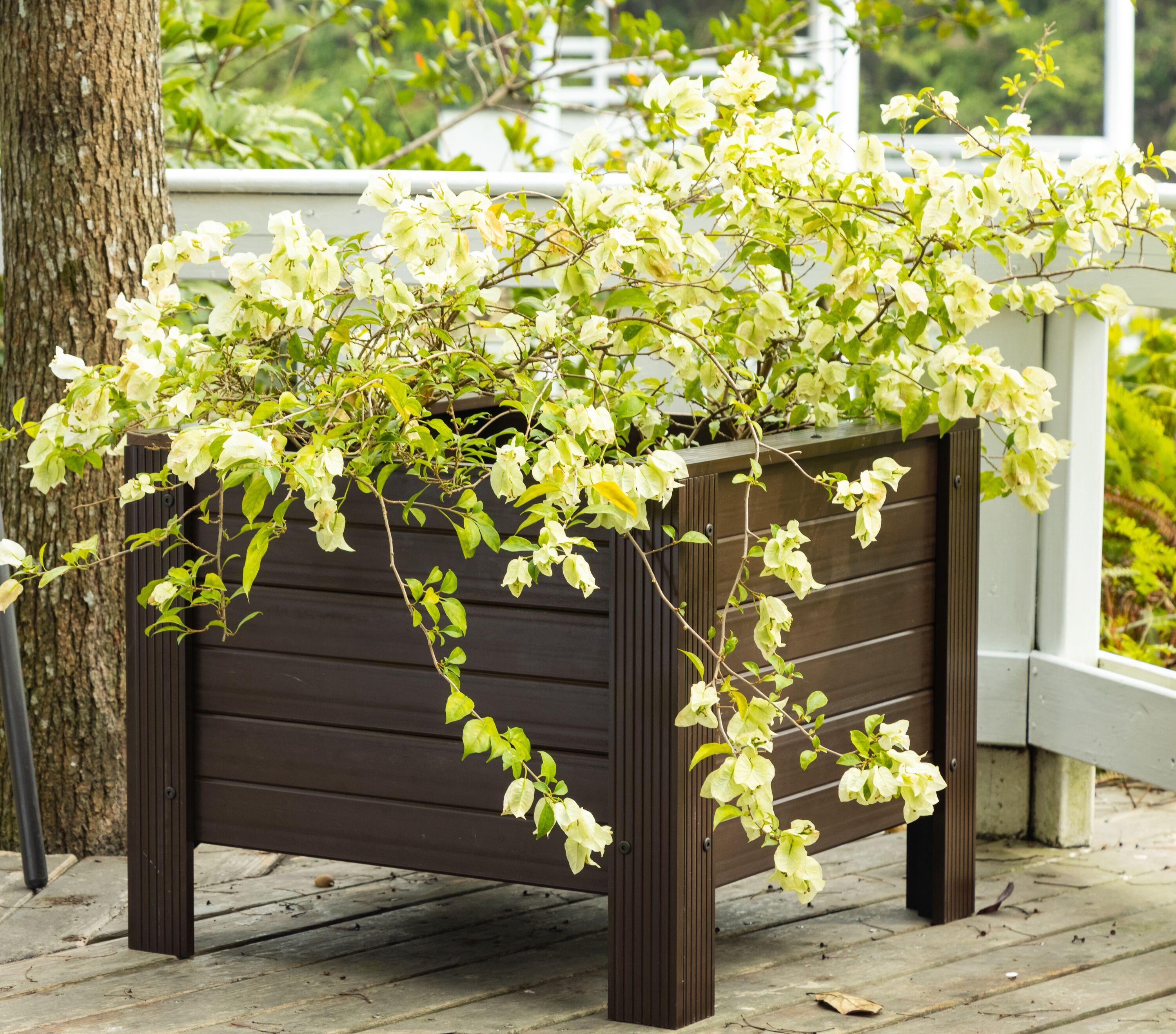 New Age Garden® 24" ECOFLEX Square Planter, Walnut