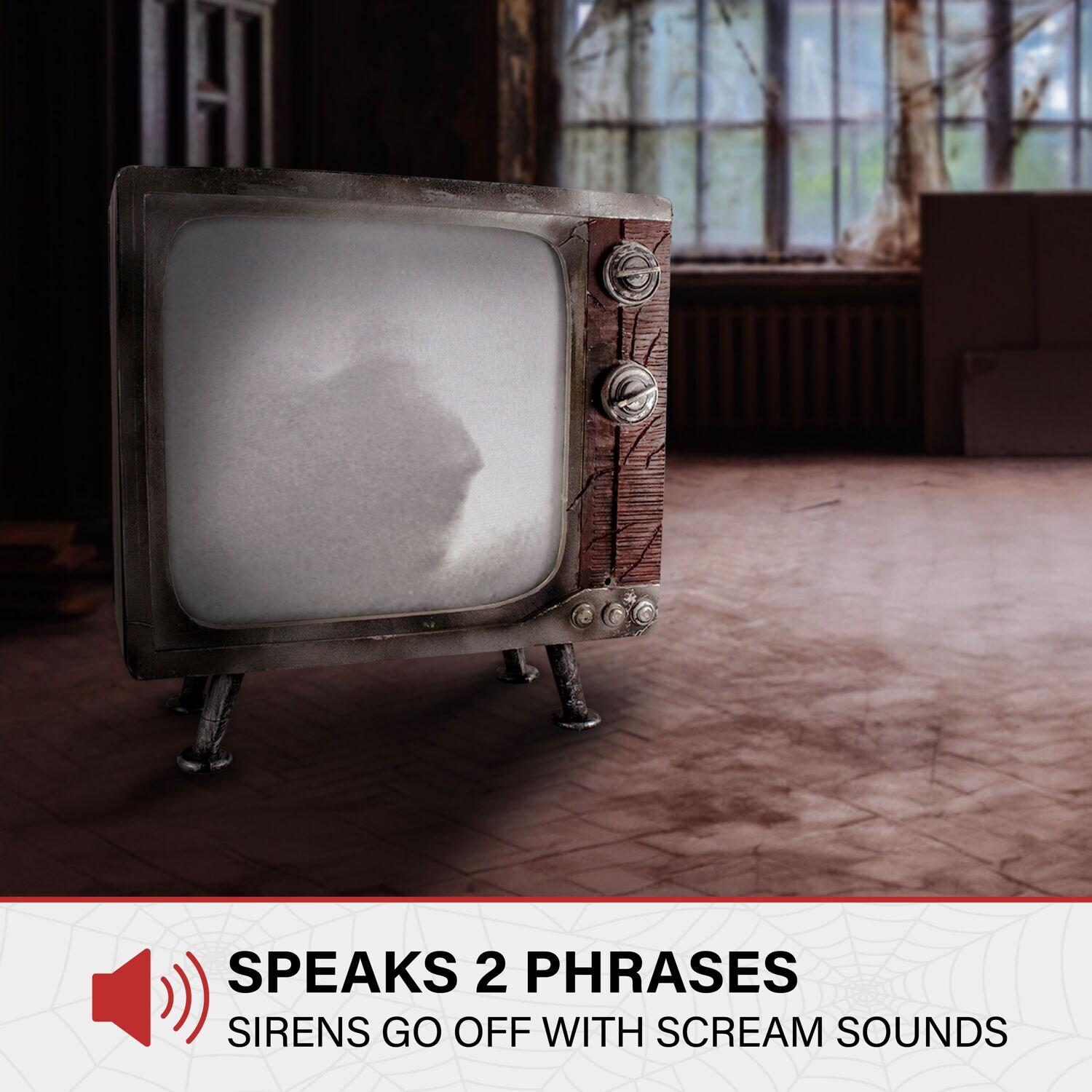 Haunted Hill Farm 11.8" H 4.7 lbs Haunted TV Animatronic White LED lights, Halloween Decor, HHHAUNTTV-1FLSA