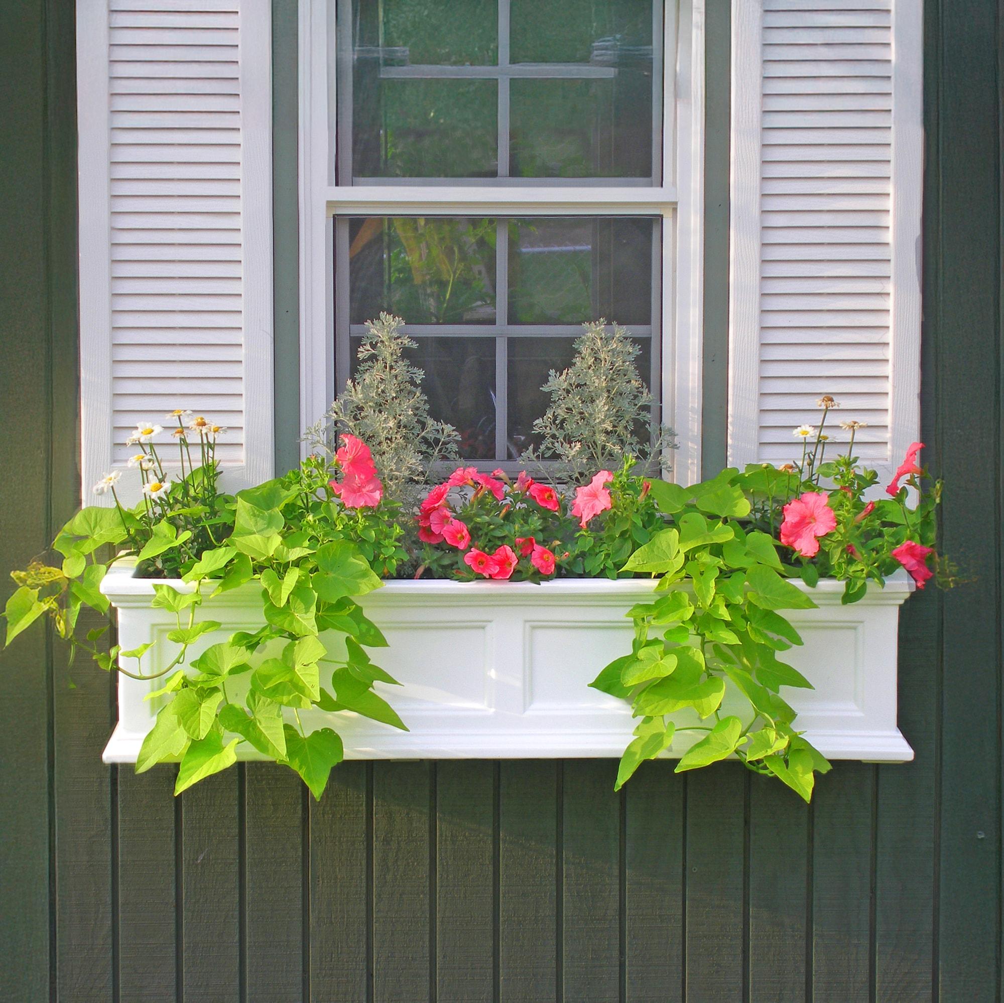 Mayne Inc. Anastasiya Resin Window Box Planter with Water Reservoir