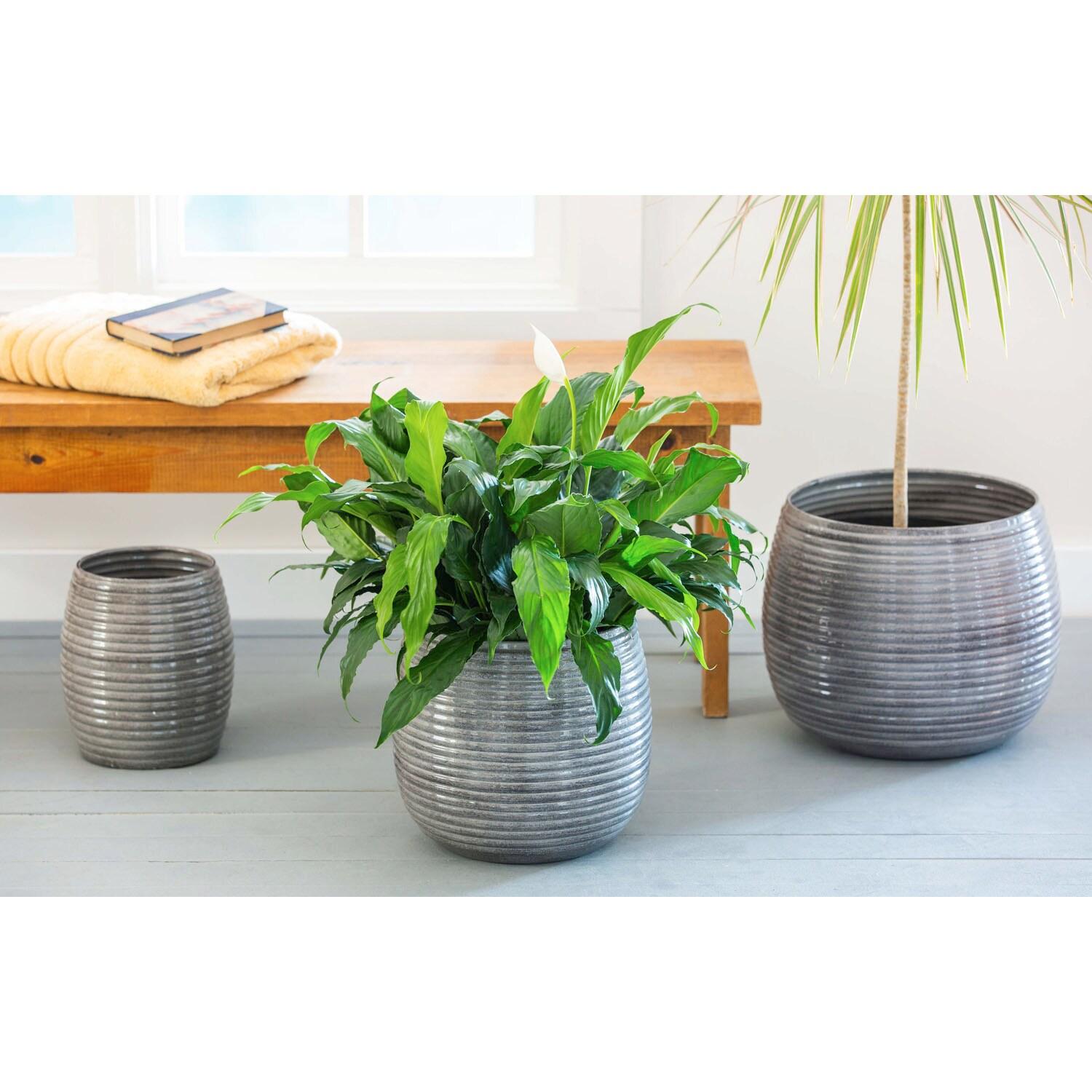 Evergreen Metal Ribbed Planter, Set of 3