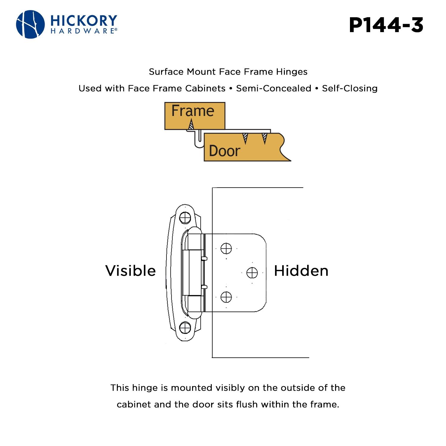 Polished Brass Self-Closing Flush Cabinet Hinges