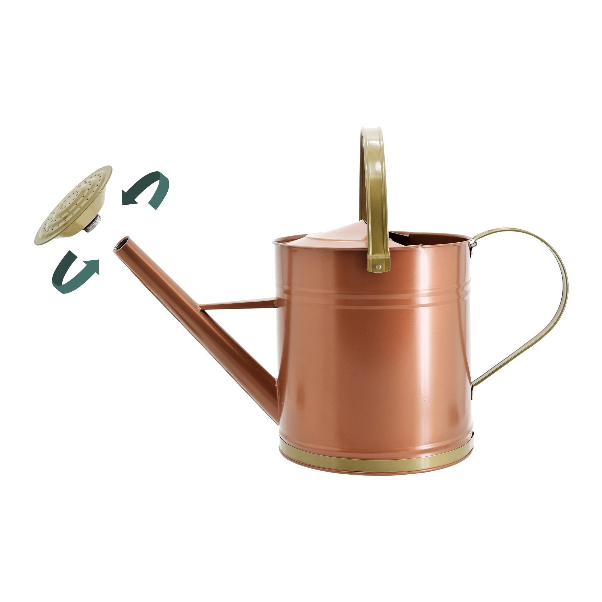 Classic Bronze Galvanized Metal Watering Can with Shower Wand