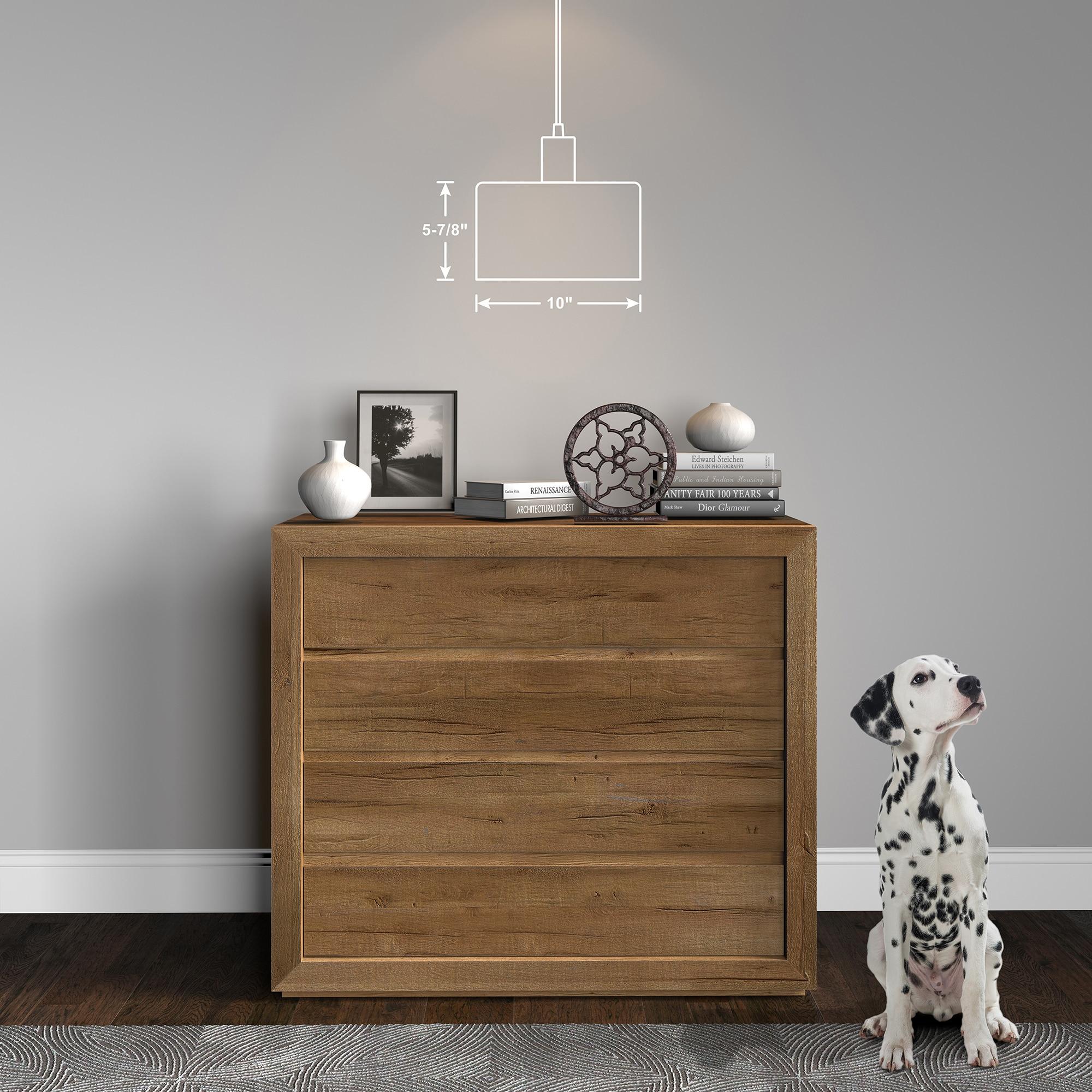 Evelyn&Zoe Industrial Clear Glass Pendant