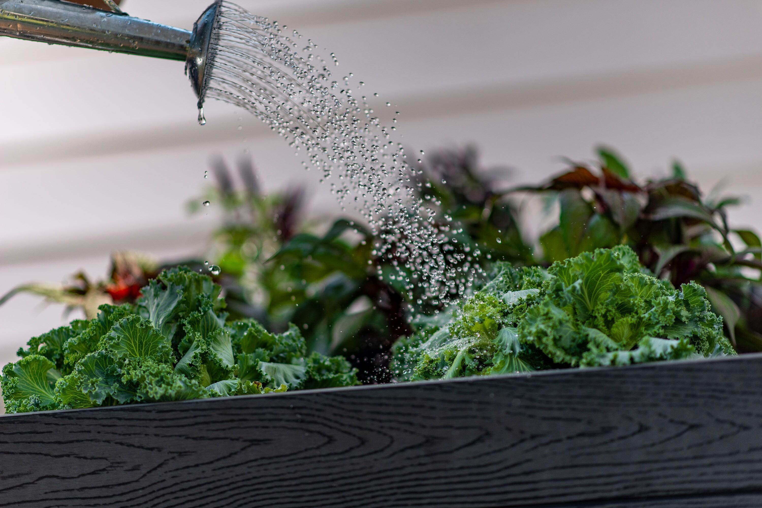 Urbana Elevated Planter