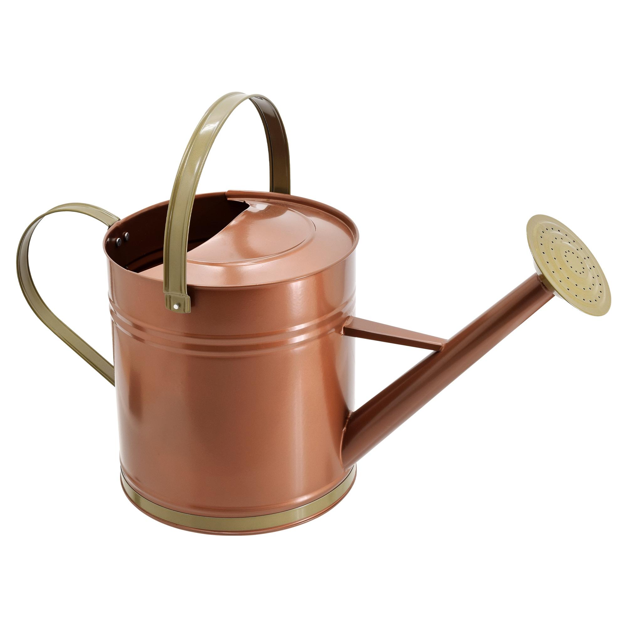 Classic Bronze Galvanized Metal Watering Can with Shower Wand