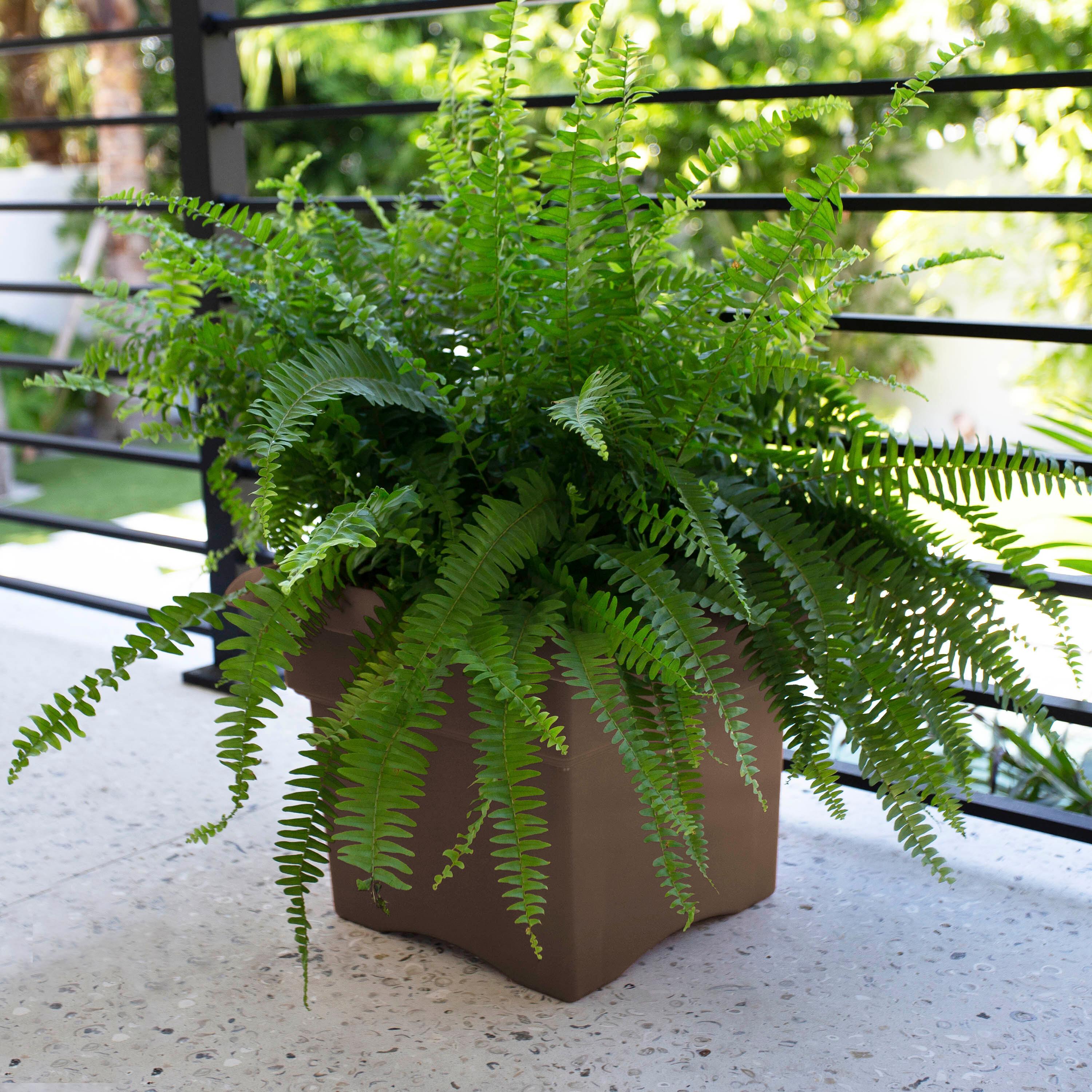 Bloem Veranda Deck Box Square Planter