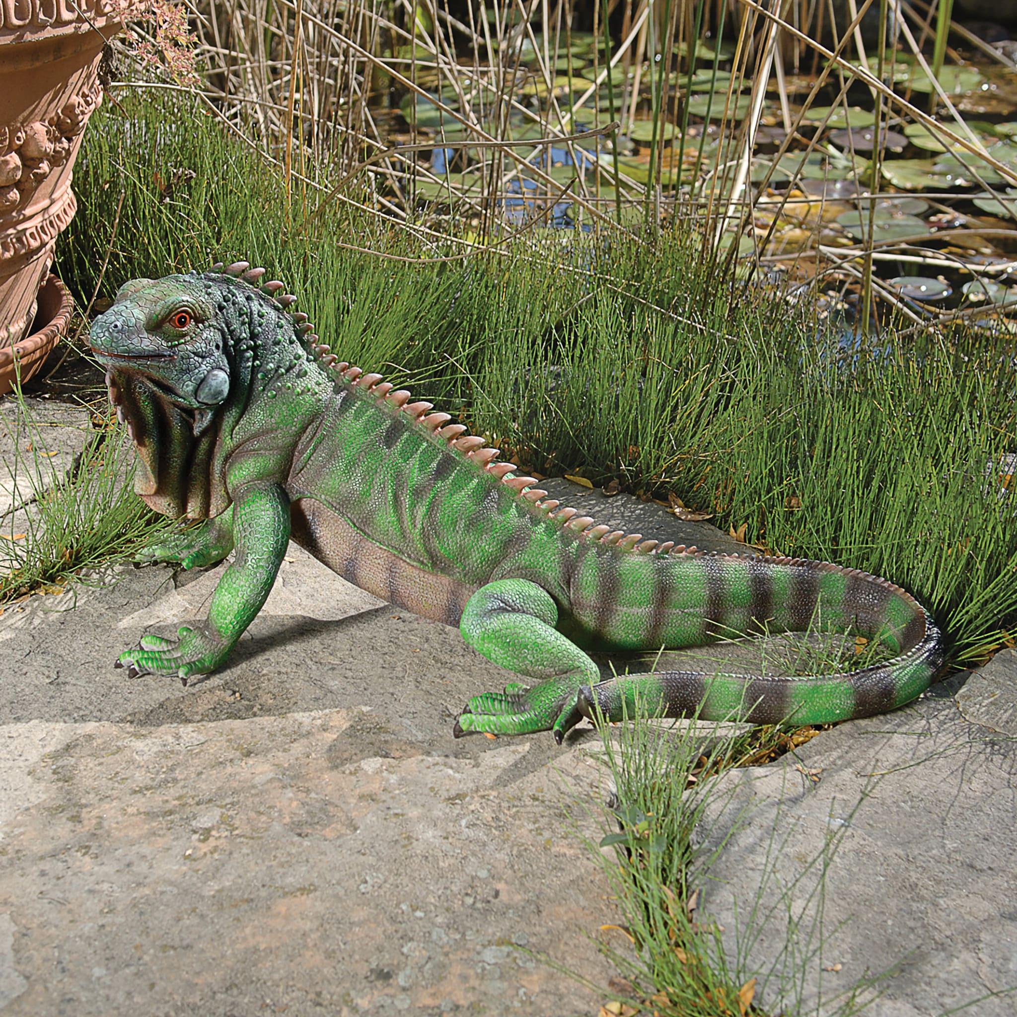 Design Toscano Iggy the Iguana Statue