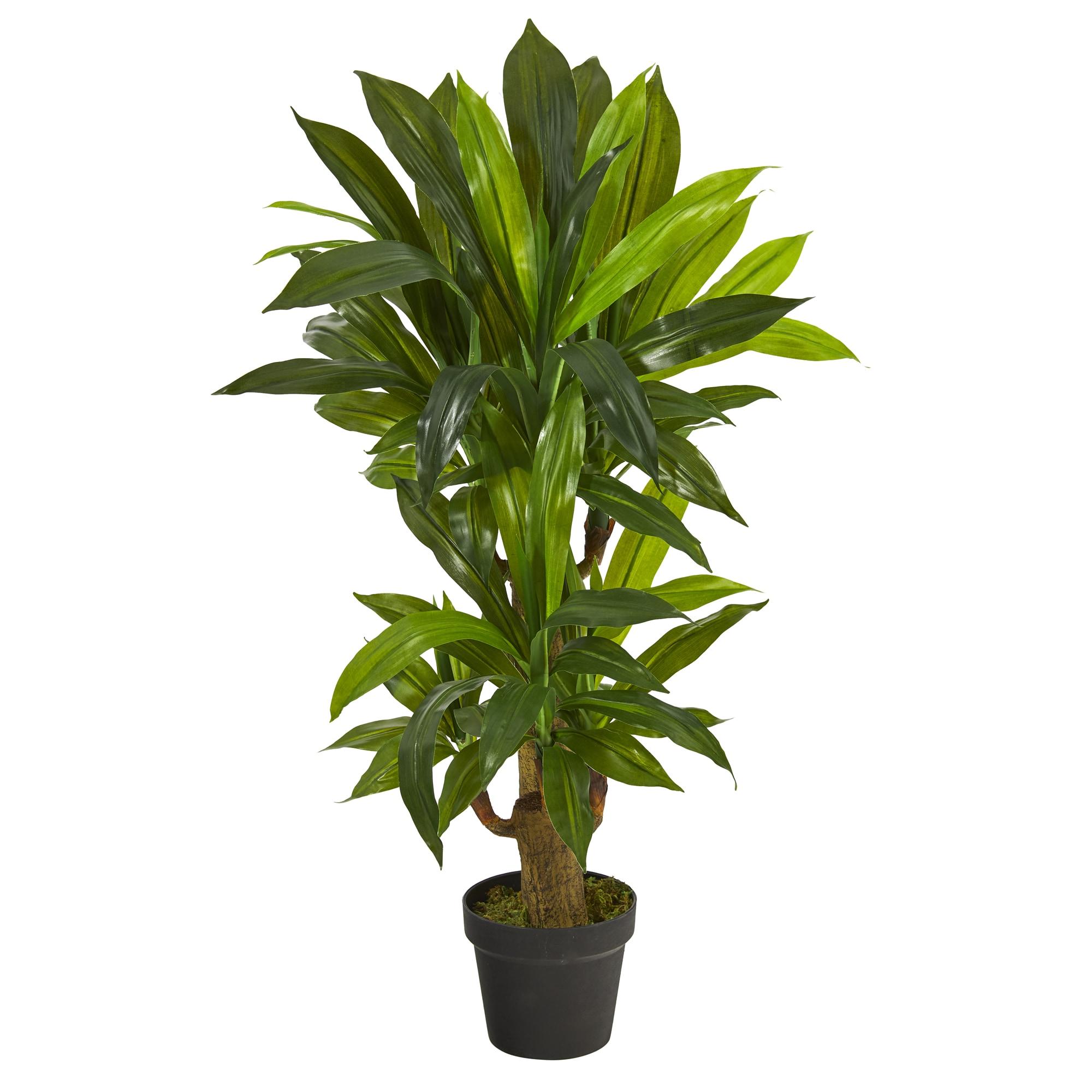 Primrue 3ft. Corn Stalk Dracaena Artificial Plant (Real Touch)