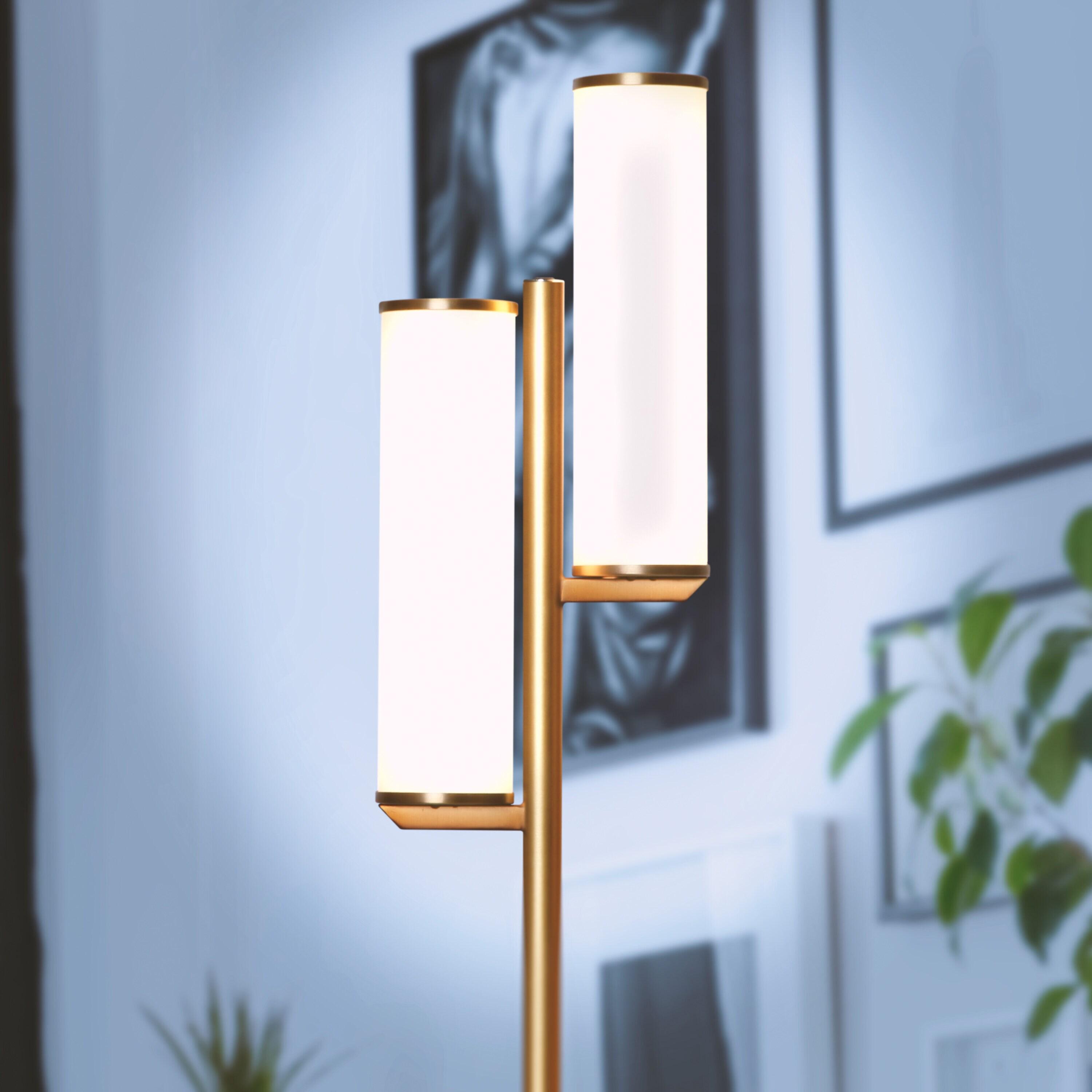 Brightech Gemini 64 in. Industrial 2-Light 3-Way Dimming LED Floor Lamp with 2 Glass Cylinder Shades
