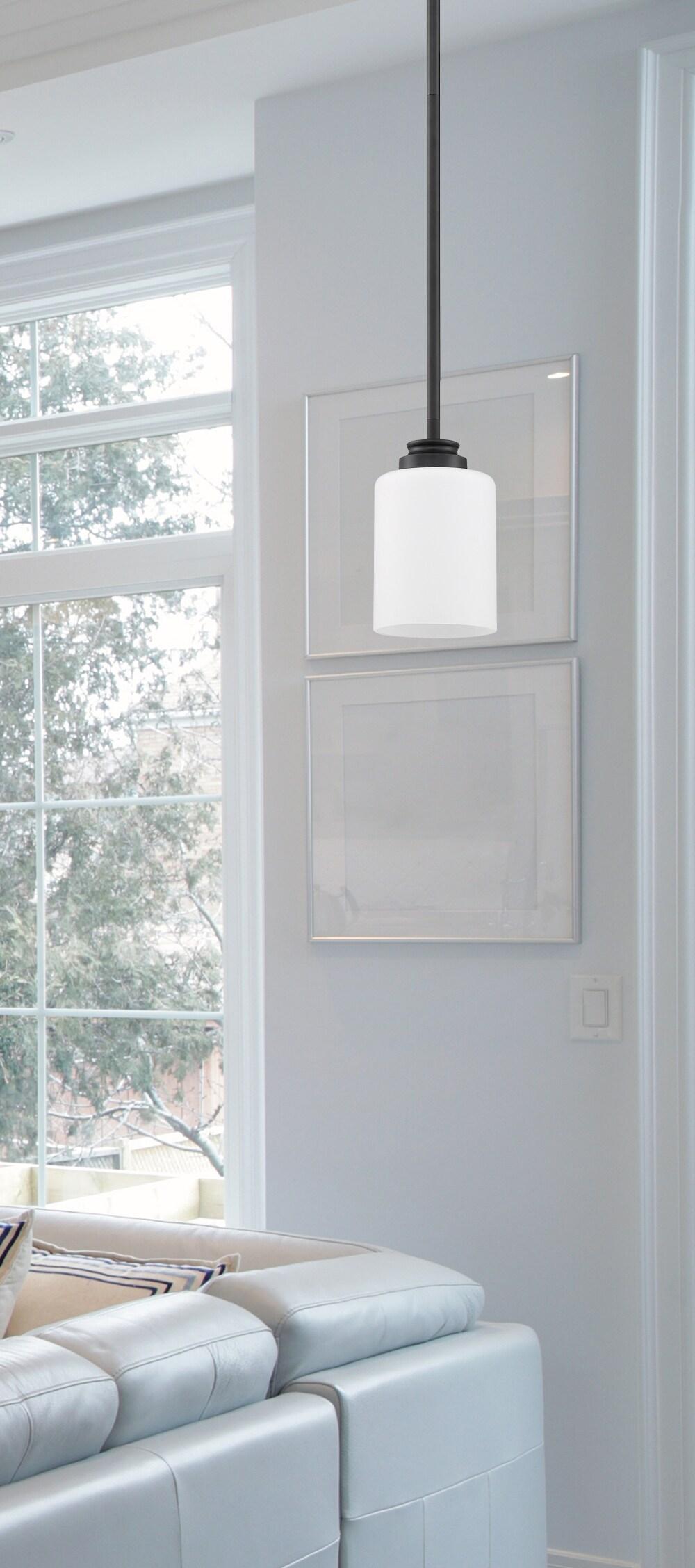 1 - Light Single Pendant