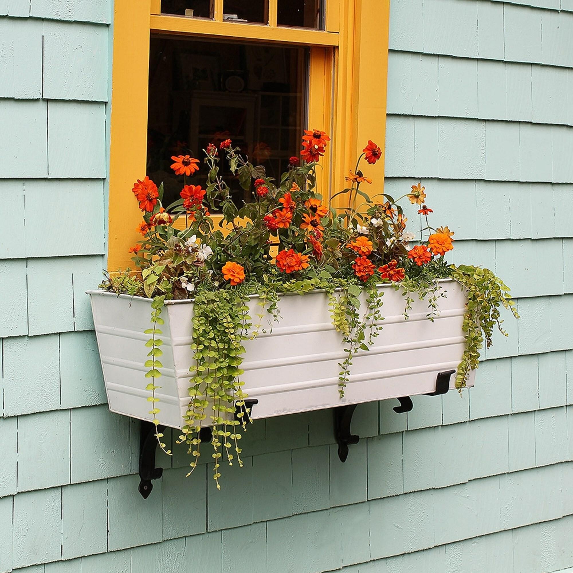 35.25" Large Galvanized Steel Flower Box Planter Cape Cod White - ACHLA Designs: Wall-Mountable, Rectangular Storage Container