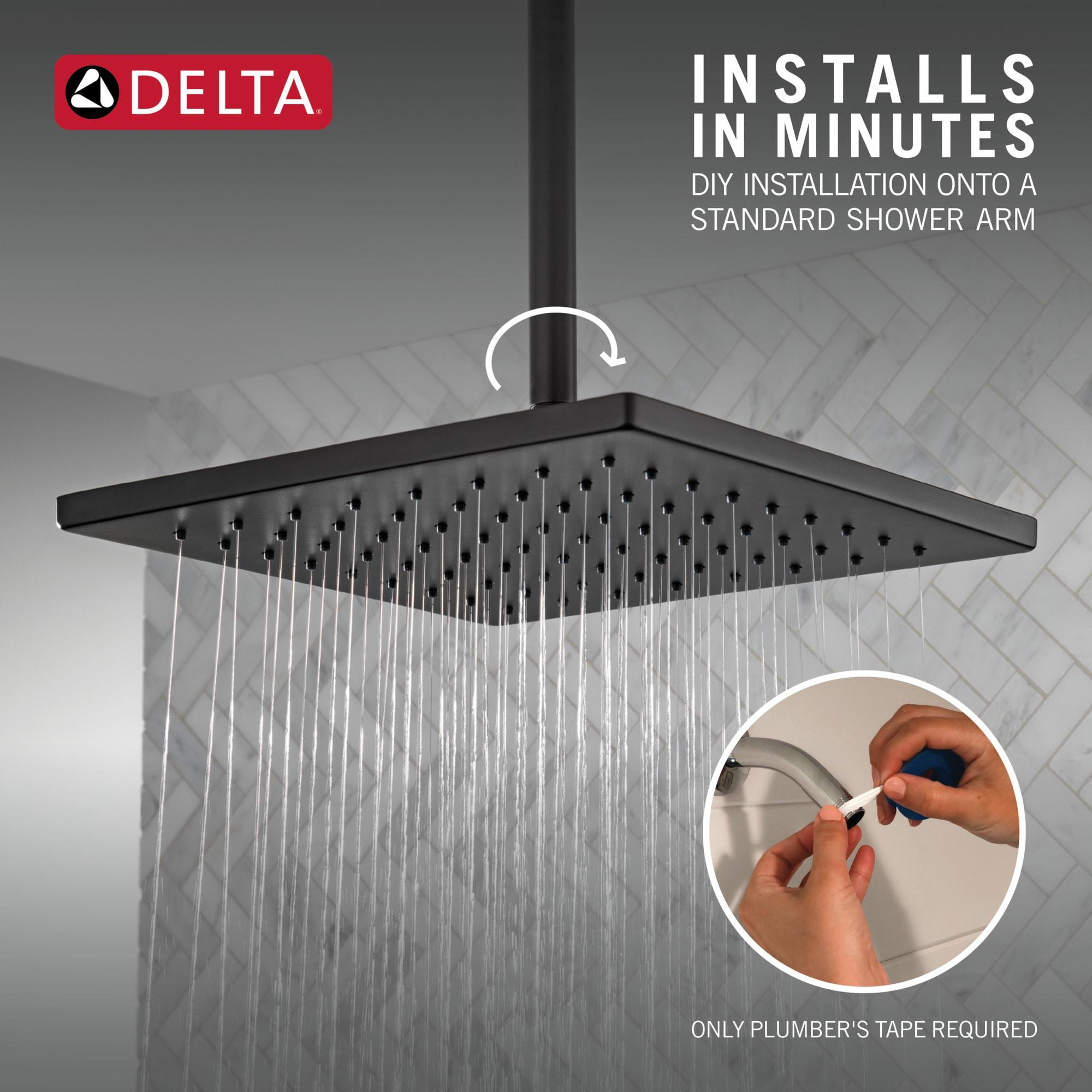 Delta Rain Adjustable Shower Head