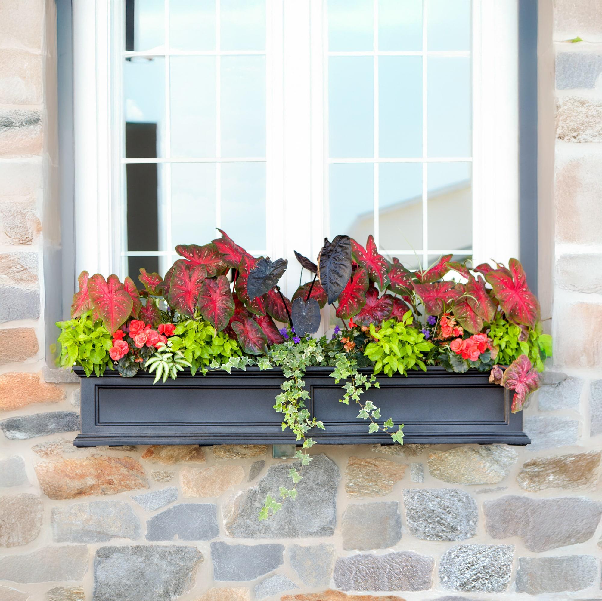 The Anastasiya Resin Window Box Planter with Water Reservoir
