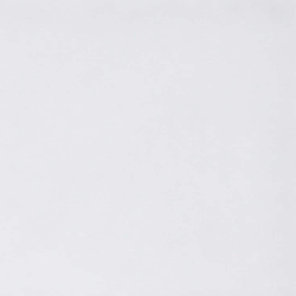 30'' W 60'' D Rectangular Single Shower Base