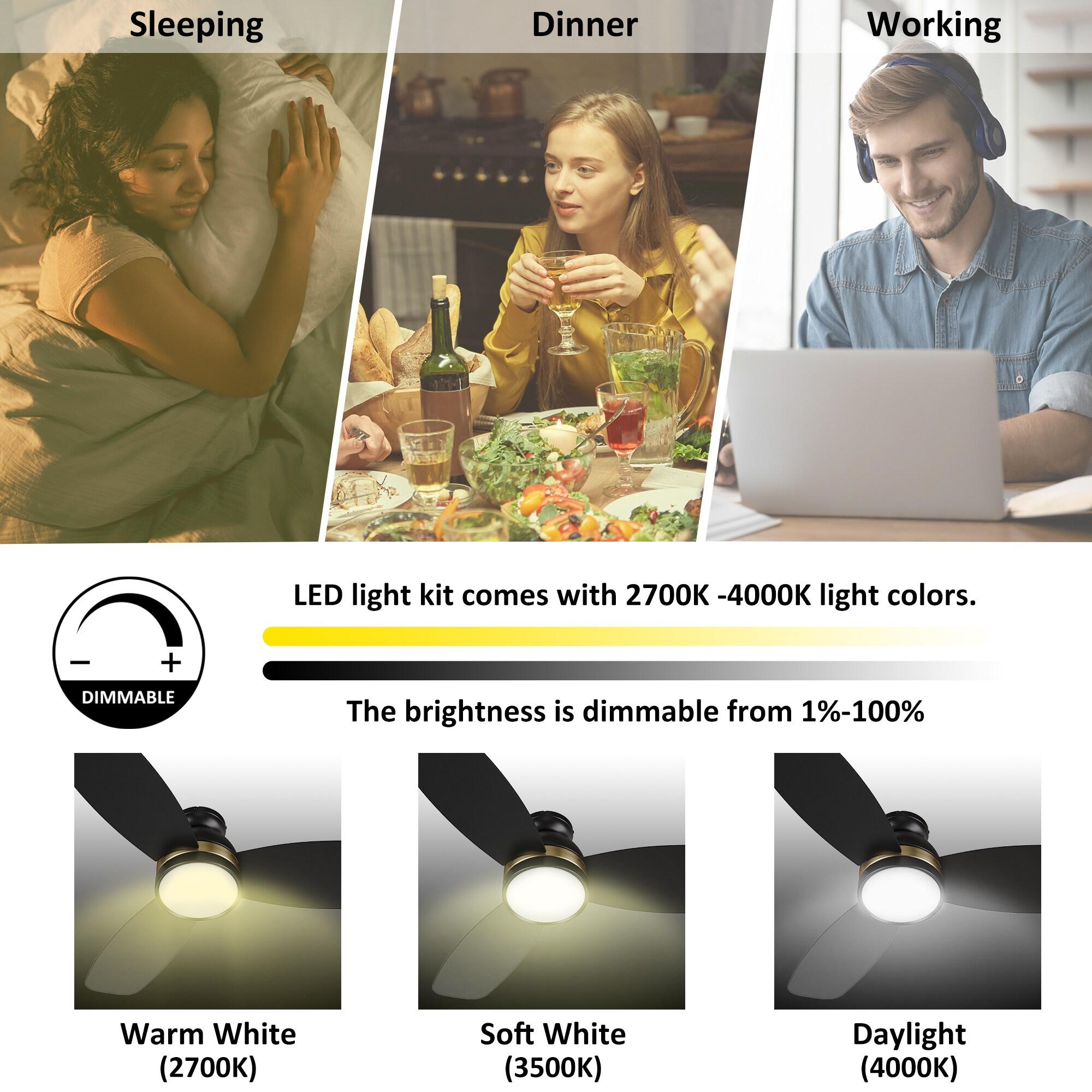 Smart Flush Mount Ceiling Fan with Light, Remote Control, DC Motor