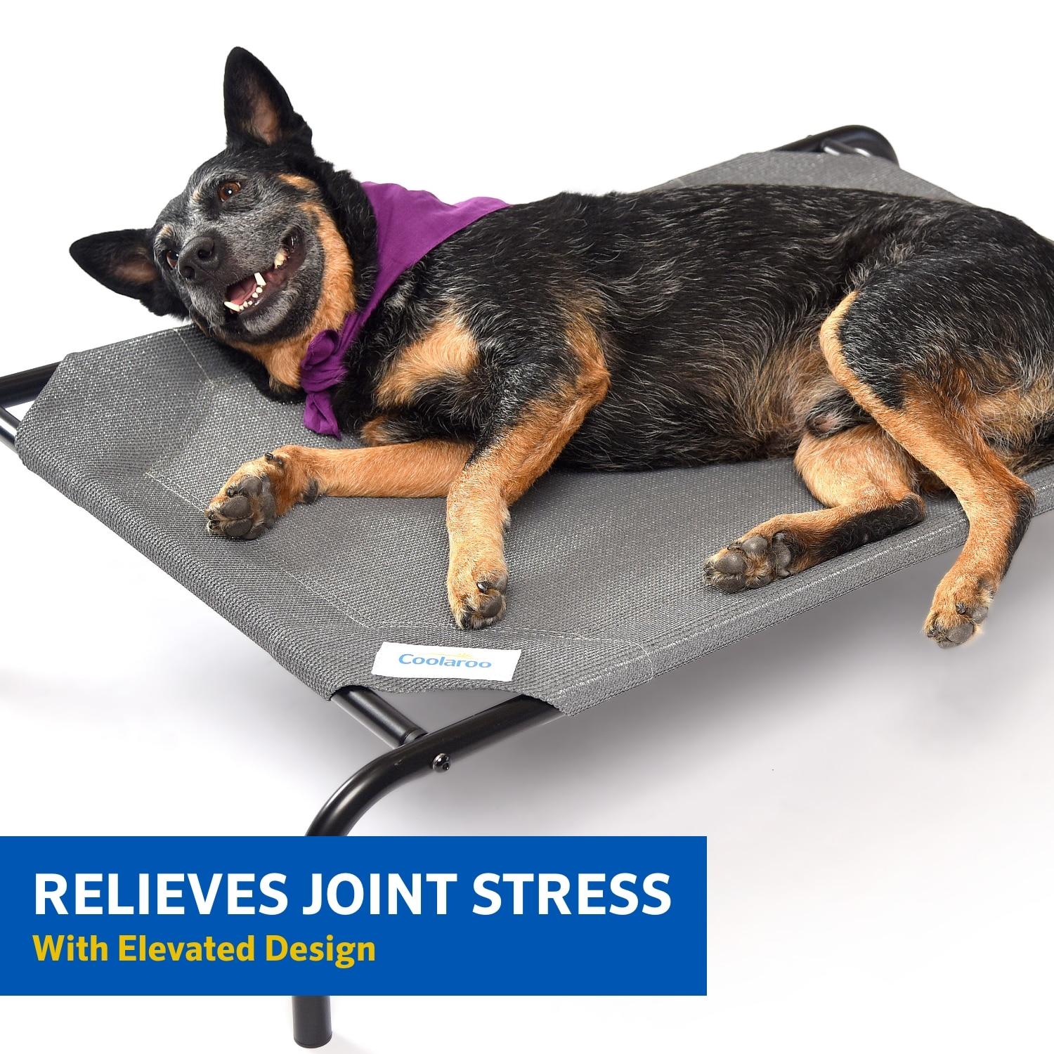 The Original Coolaroo Elevated Pet Dog Bed for Indoors & Outdoors, Medium, Aquatic Blue