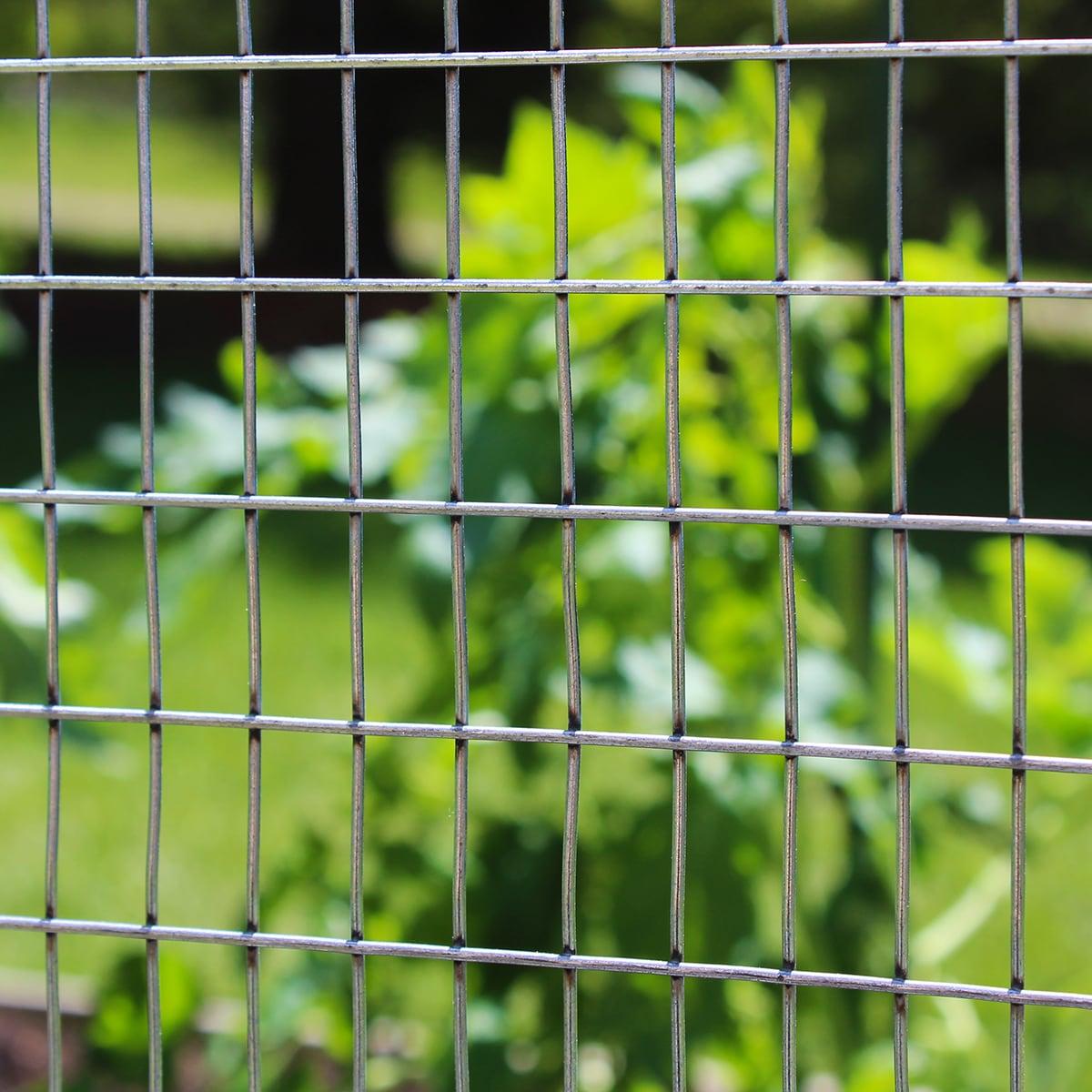 Garden Zone 30 in. W Gray Steel Wire Cage