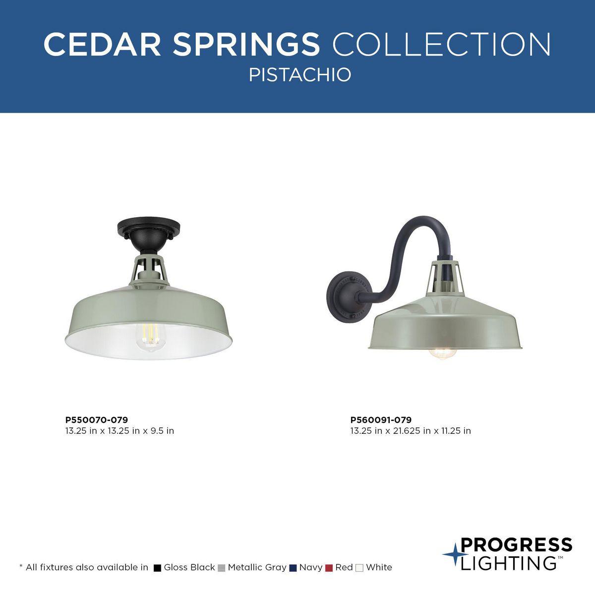 Cedar Springs Collection Pistachio One-Light Semi-Flush Mount