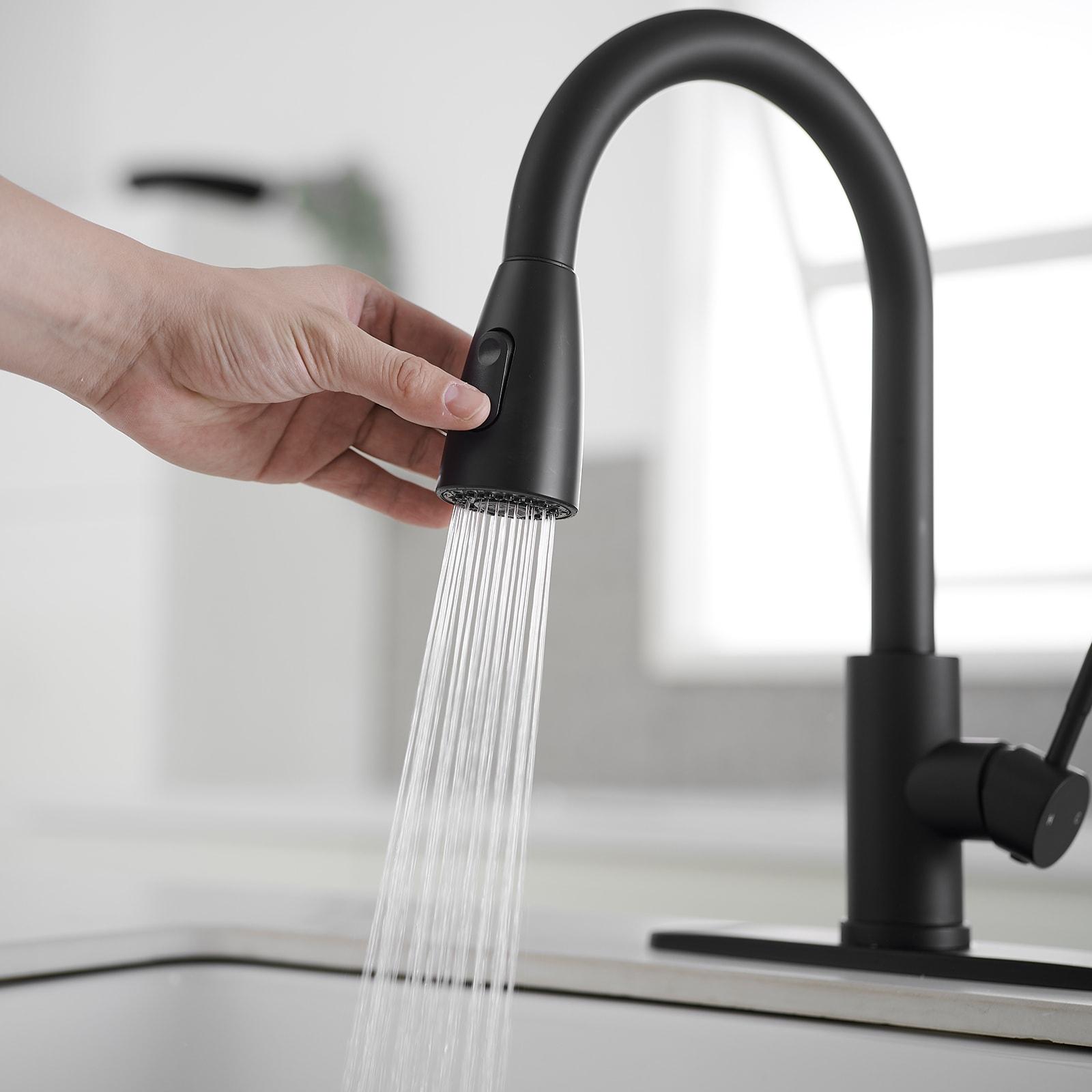 VIBRANTBATH VIBRANTBATH Pull Out Kitchen Faucet 4034-B