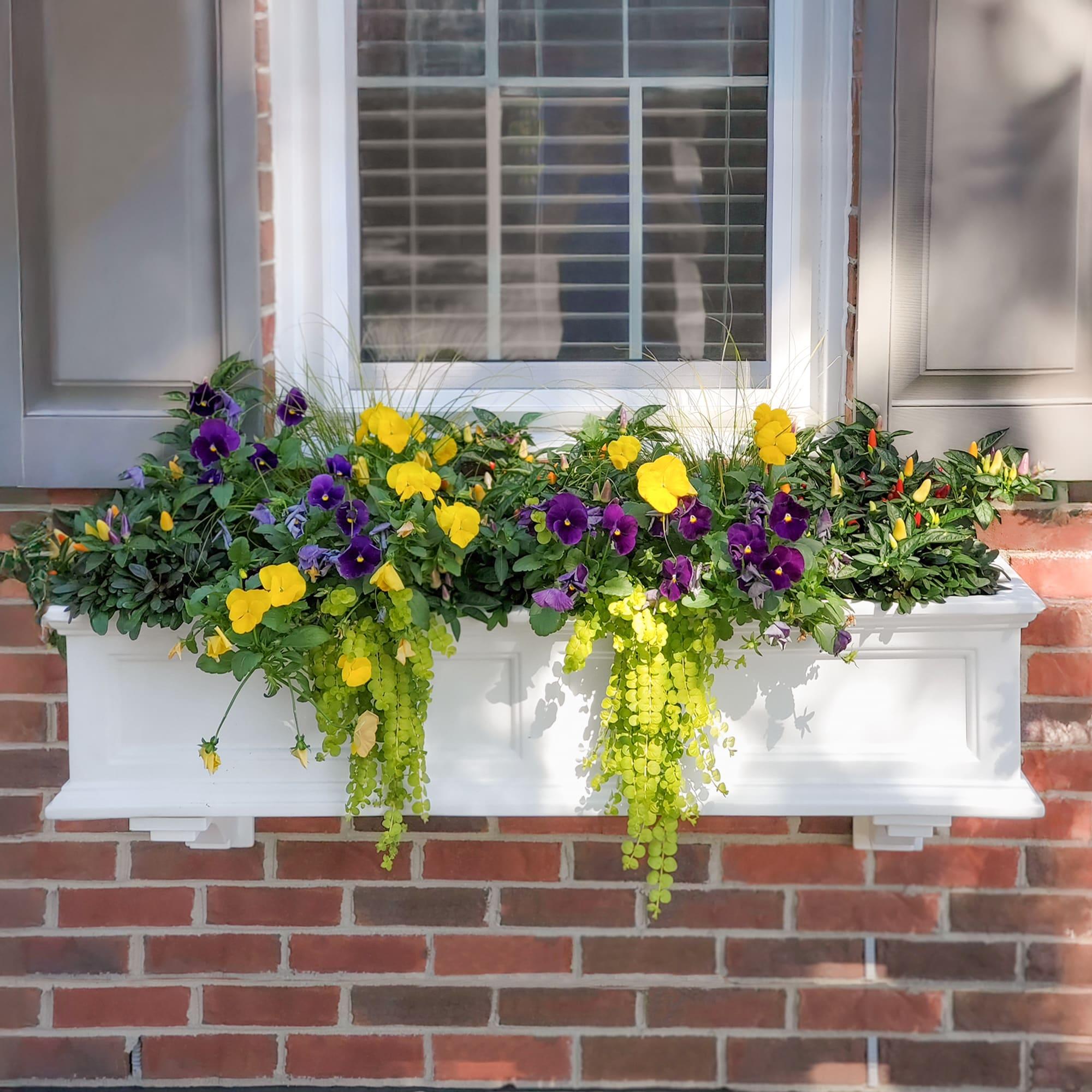 Mayne Inc. Anastasiya Resin Window Box Planter with Water Reservoir