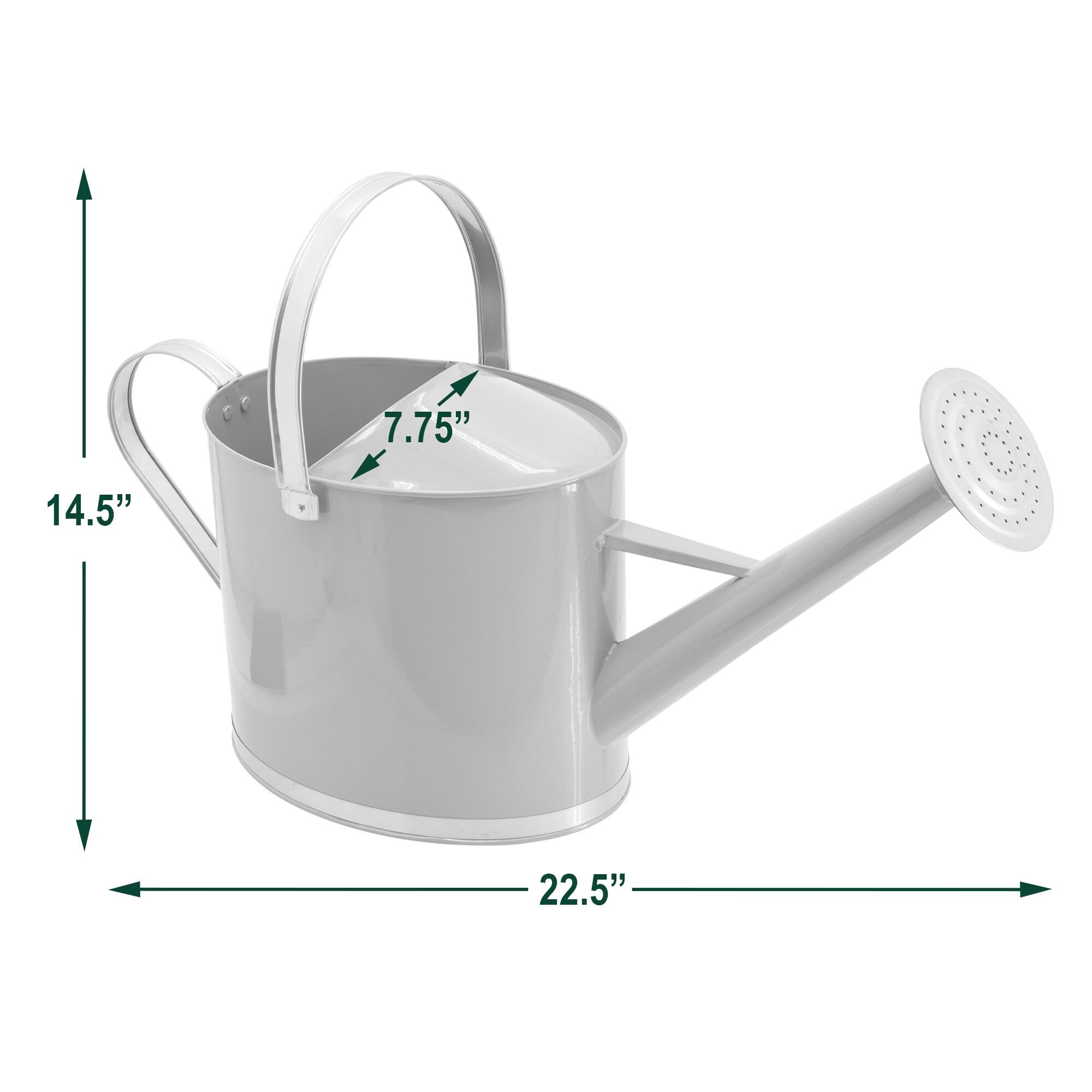 Coral Metal 1.8-Gallon Watering Can with Silver Handles