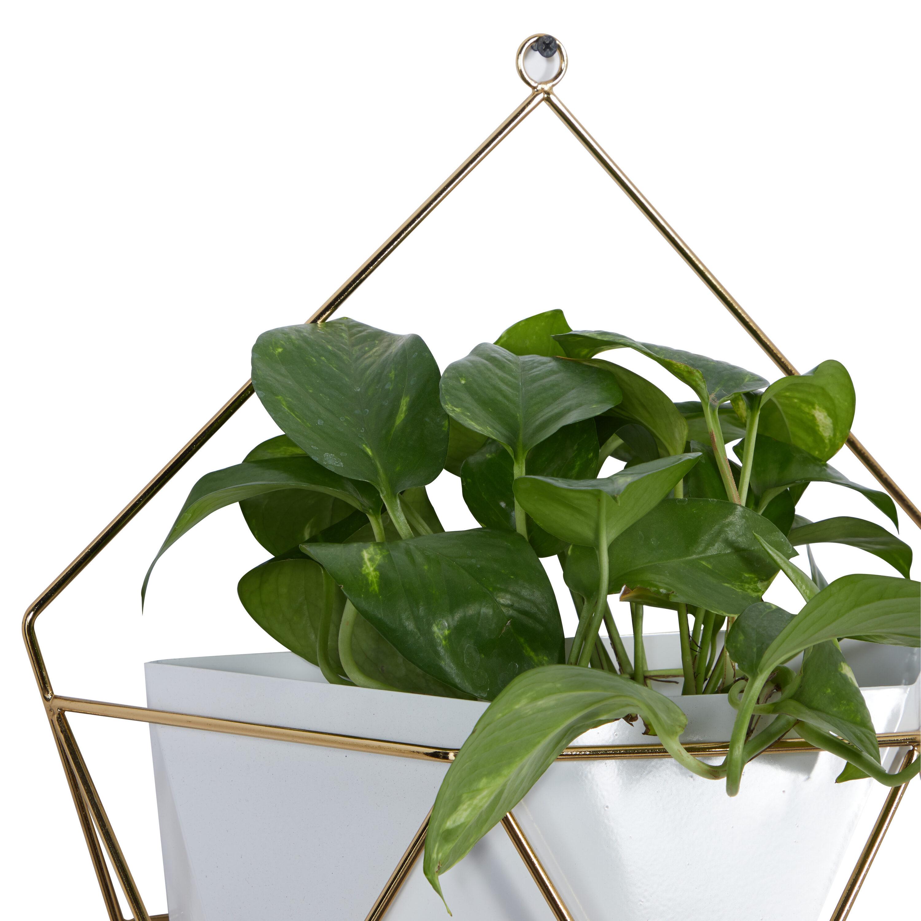 Geometric Gold And White Metal Wall Planters, Set Of 2: 12", 15"