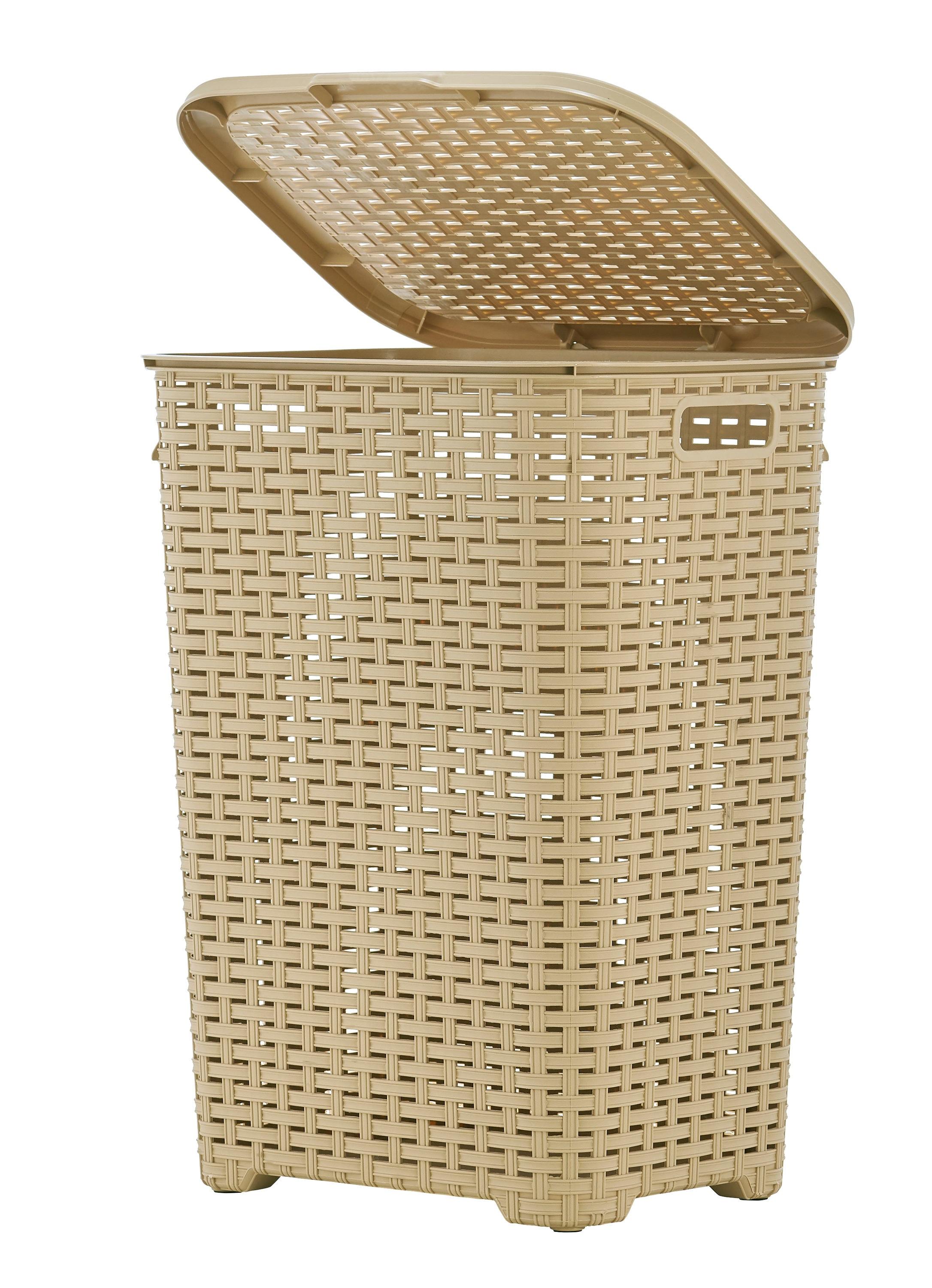 Rebrilliant Plastic Laundry Hamper with Handles