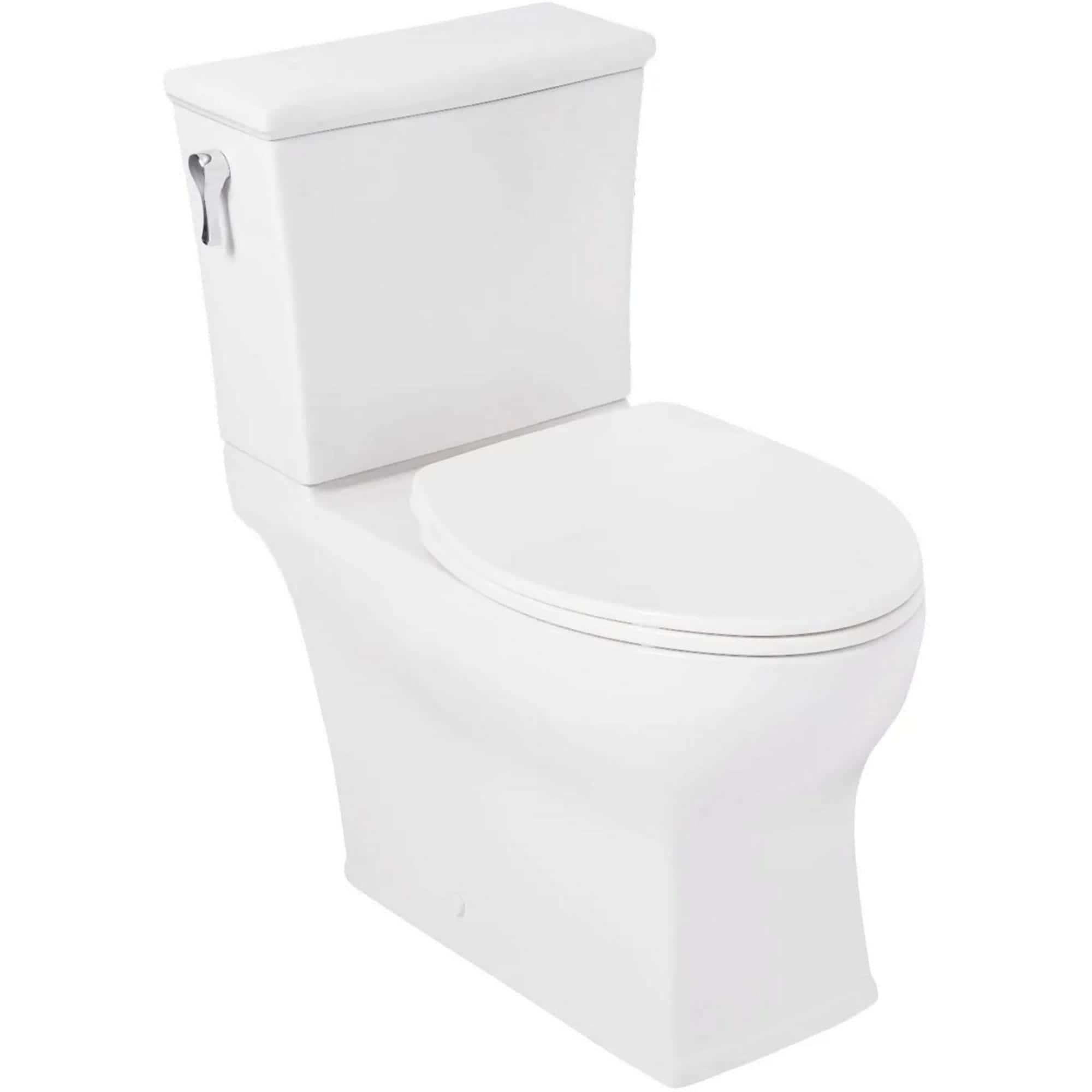 Carraway Two-Piece Skirted Elongated Toilet