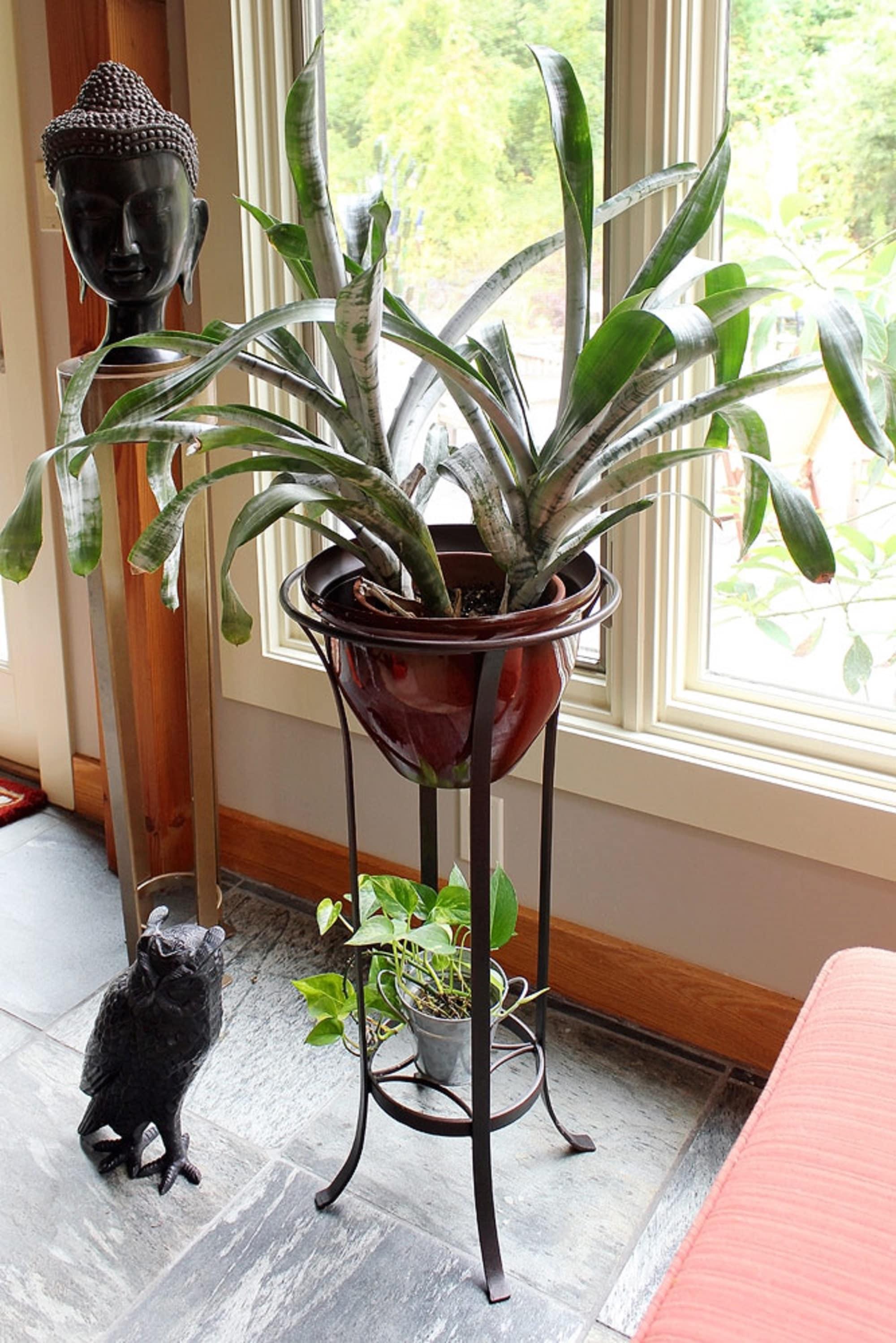 Achla Designs Tulip Plant Stand Without Insert, 28 Inch Tall, Roman Bronze Powder Coat Finish