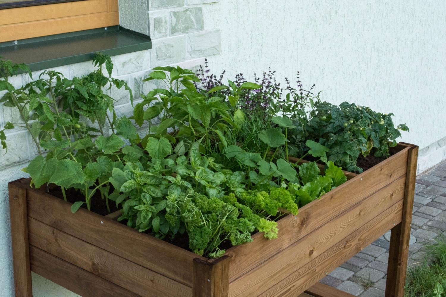 Tierra Garden Rectangular Raised Bed with Shelf