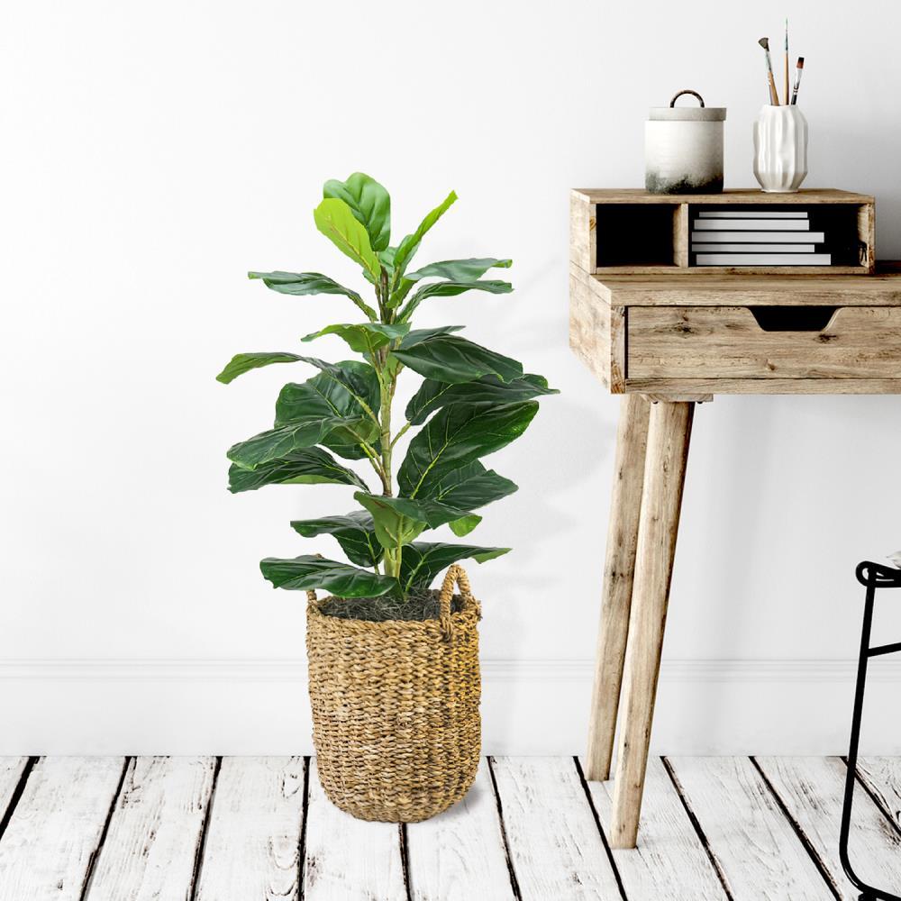 LCG Florals 30" x 16" Artificial Fig Plant in Basket with Handles: Indoor Faux Floor Plant, Polyester, Wicker Basket