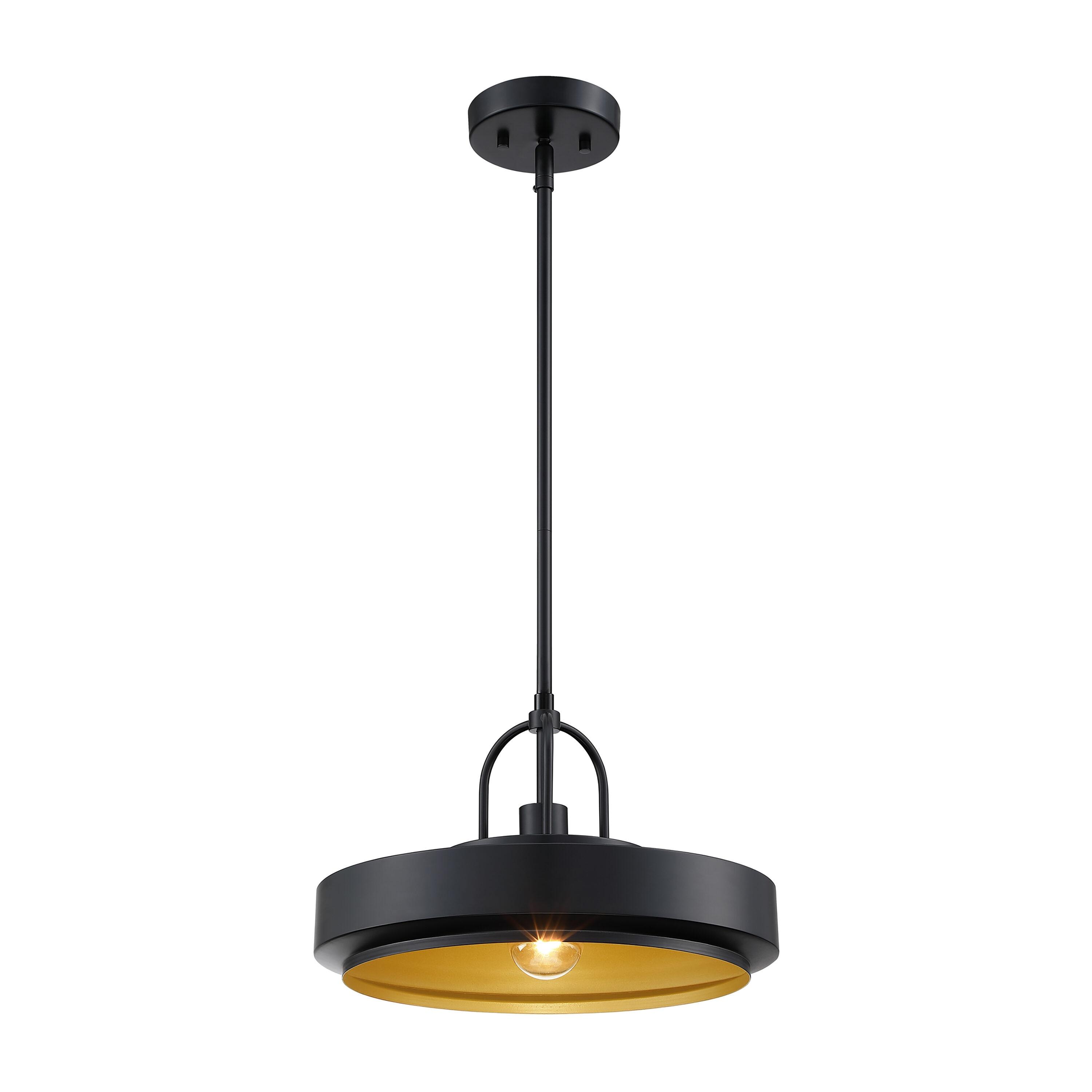 Designers Fountain Odea 14 inch 1-Light Matte Black Transitional Pendant Light, D295M-14P-MB