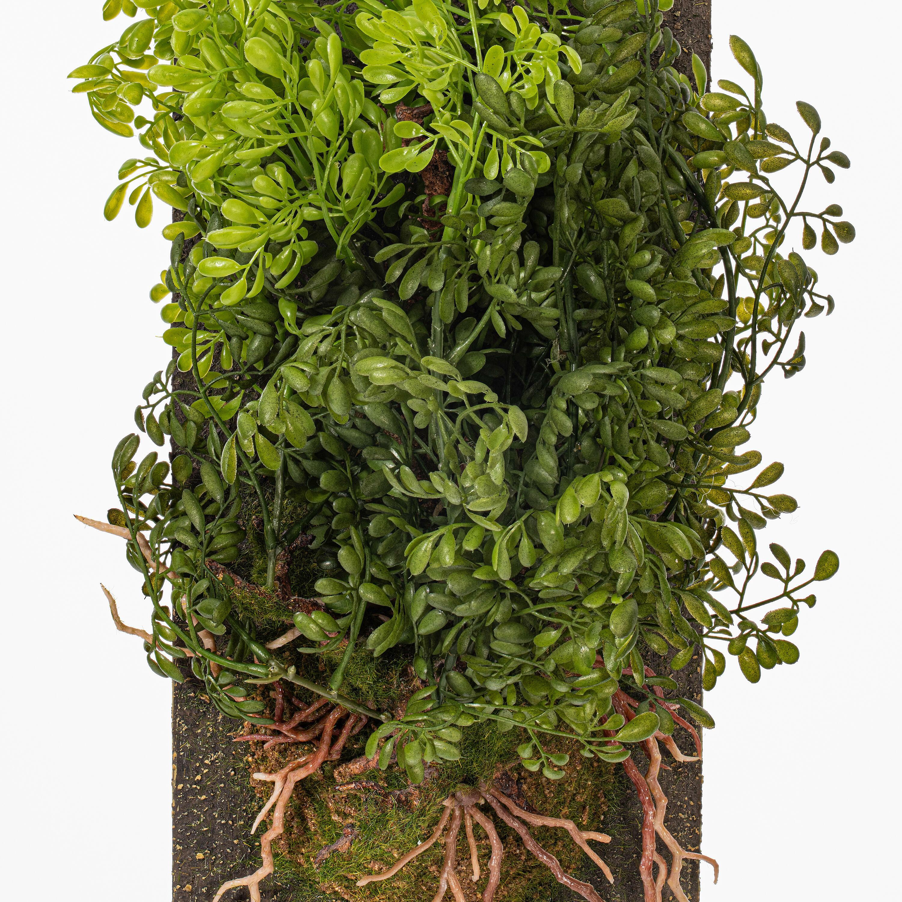 Vickerman 24" Artificial Green Mini Leaf on Wooden Plaque.