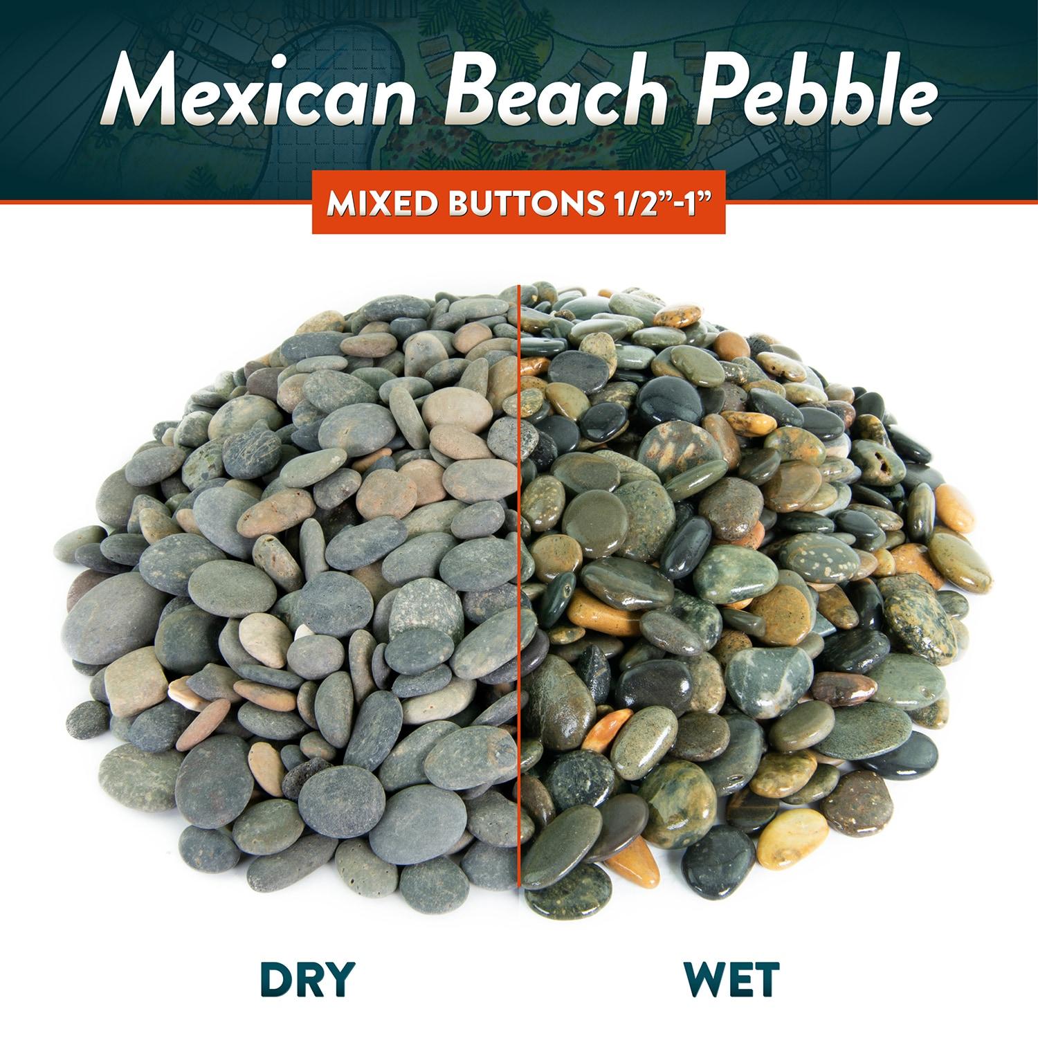 Mexican Beach Pebbles, Round River Rock  Landscape Garden Stones 40 pounds