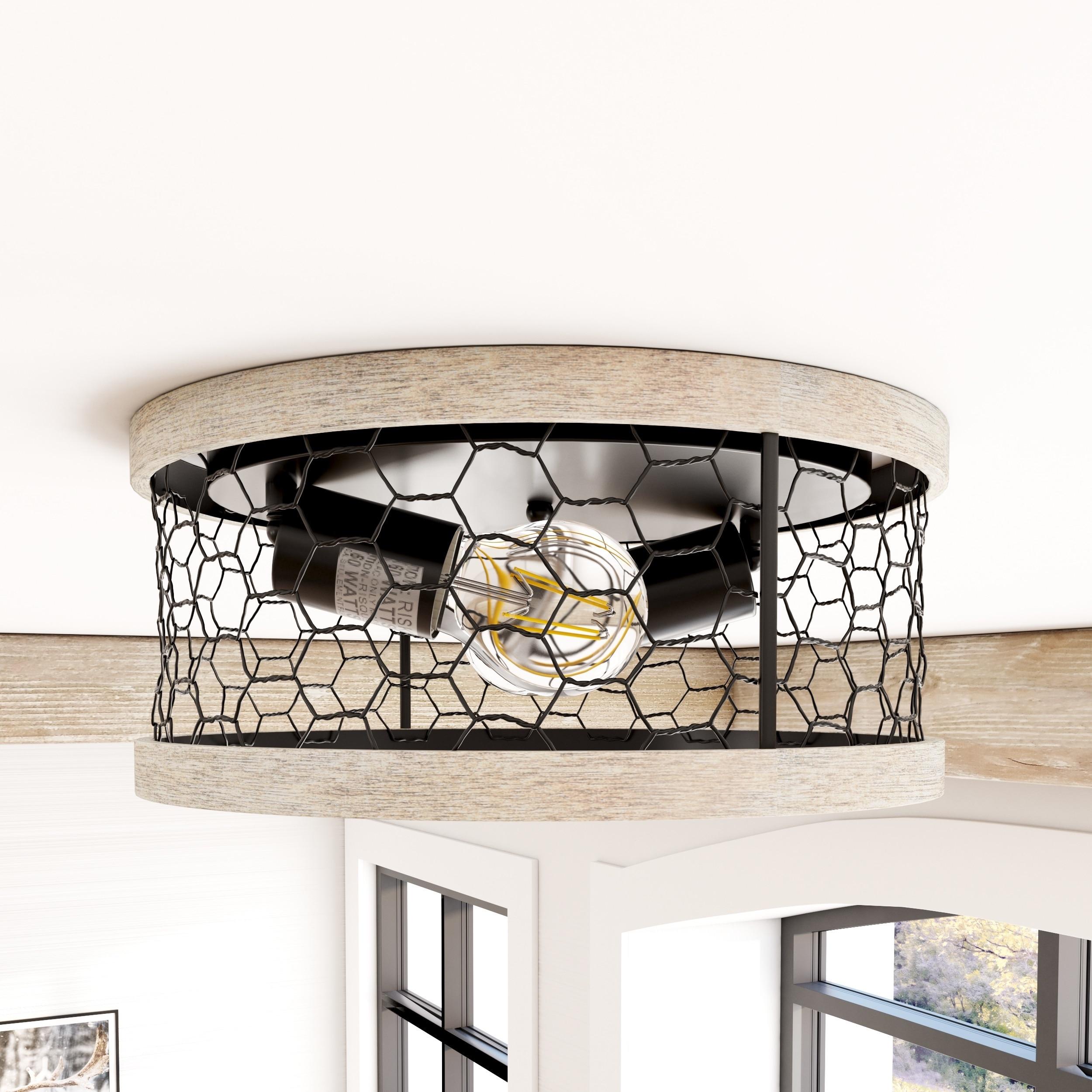 Golden Lighting Bailey 2-Light Flush Mount in Matte Black with Chicken Wire