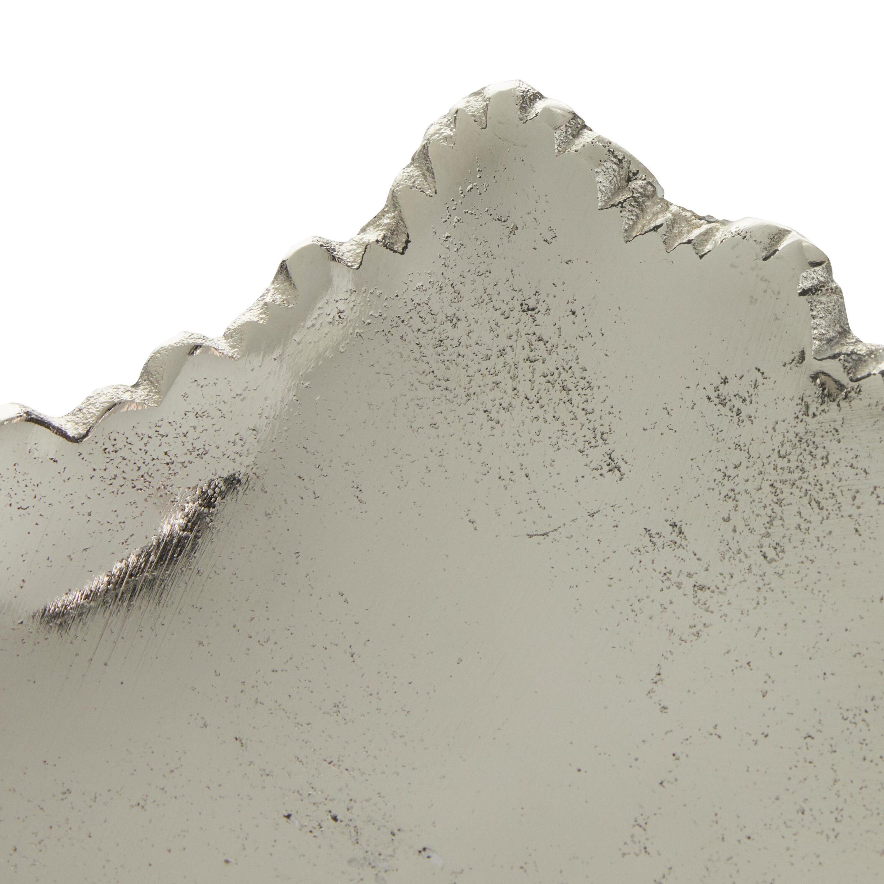 CosmoLiving by Cosmopolitan Aluminum Metal Live Edge Silver Decor Tray