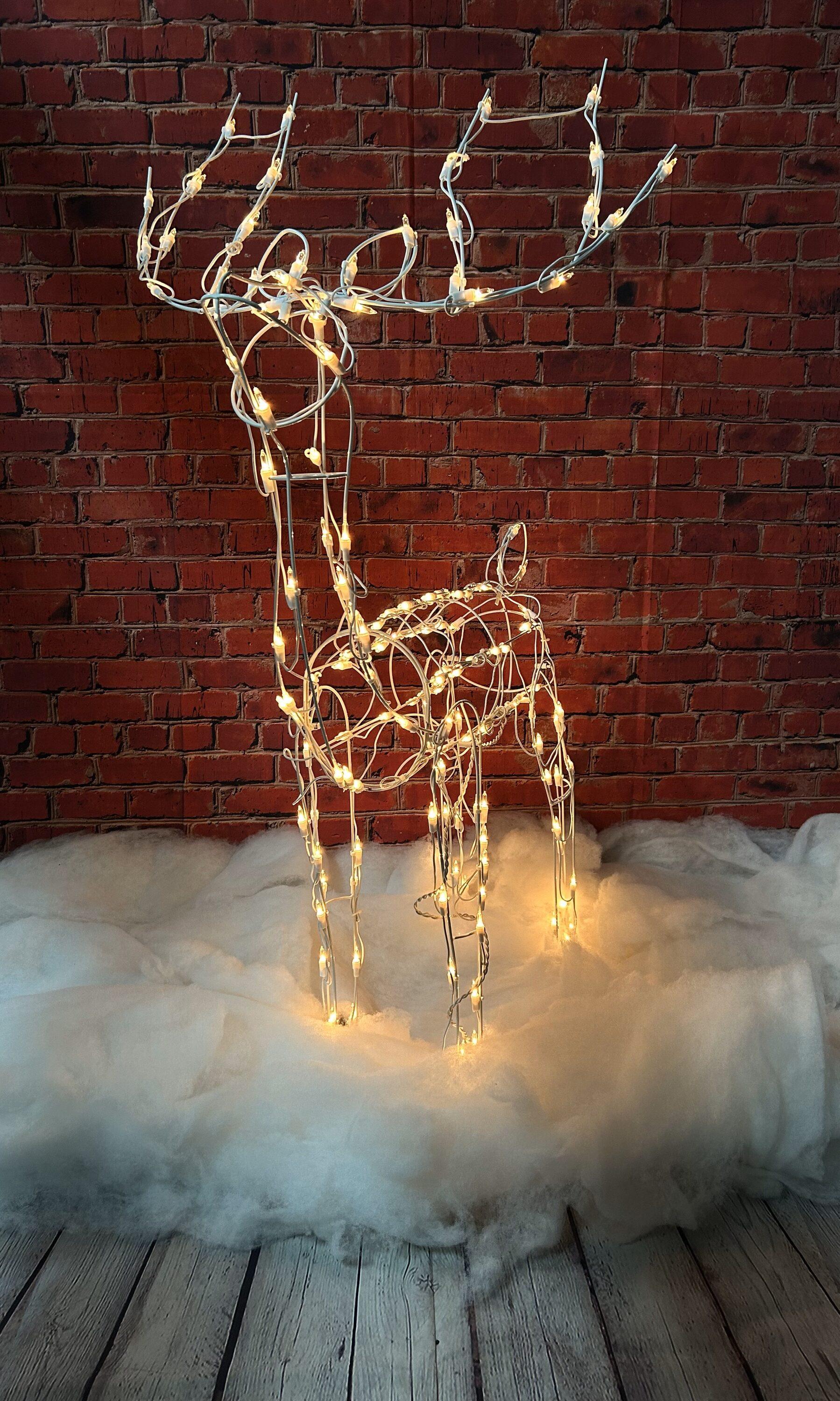 Brite Star 3D Lighted Reindeer