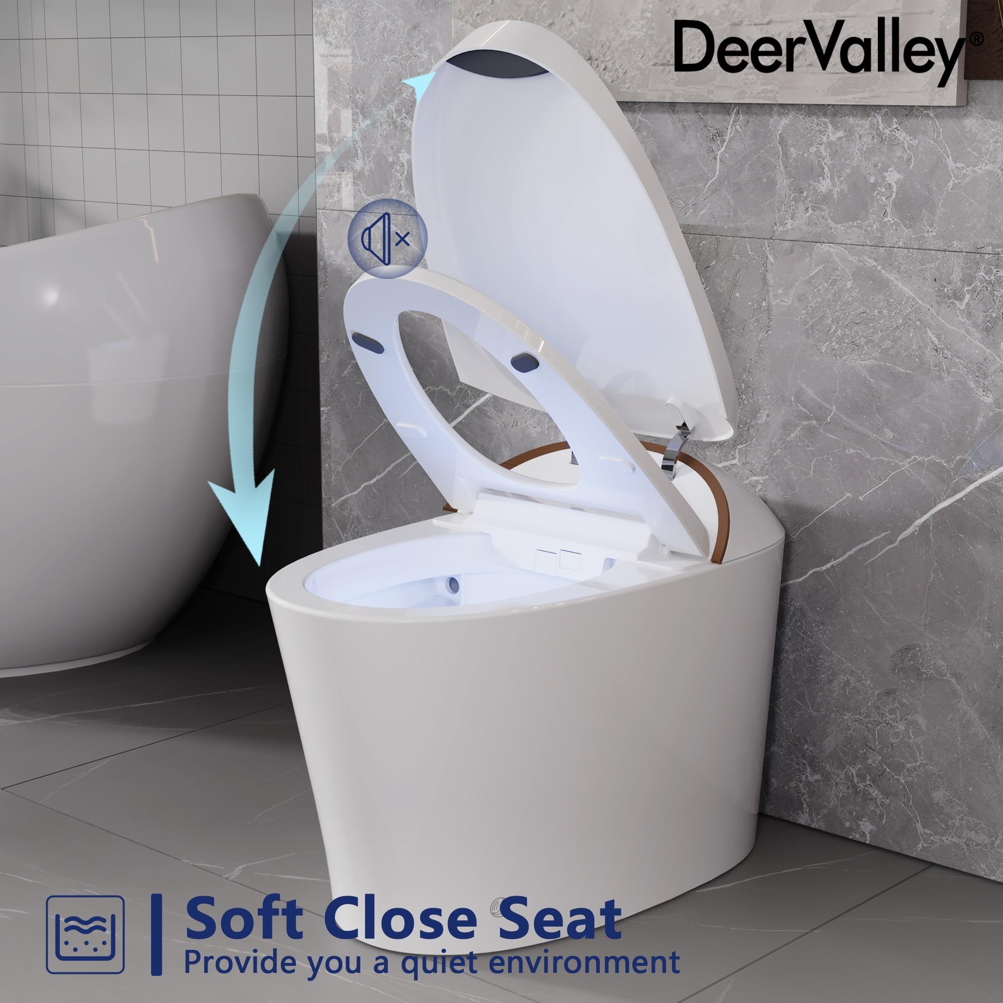 Smart Bidet Elongated Toilet, Foot Kick Flush, Heated Seat, Instant Warm Water Wash, Advanced