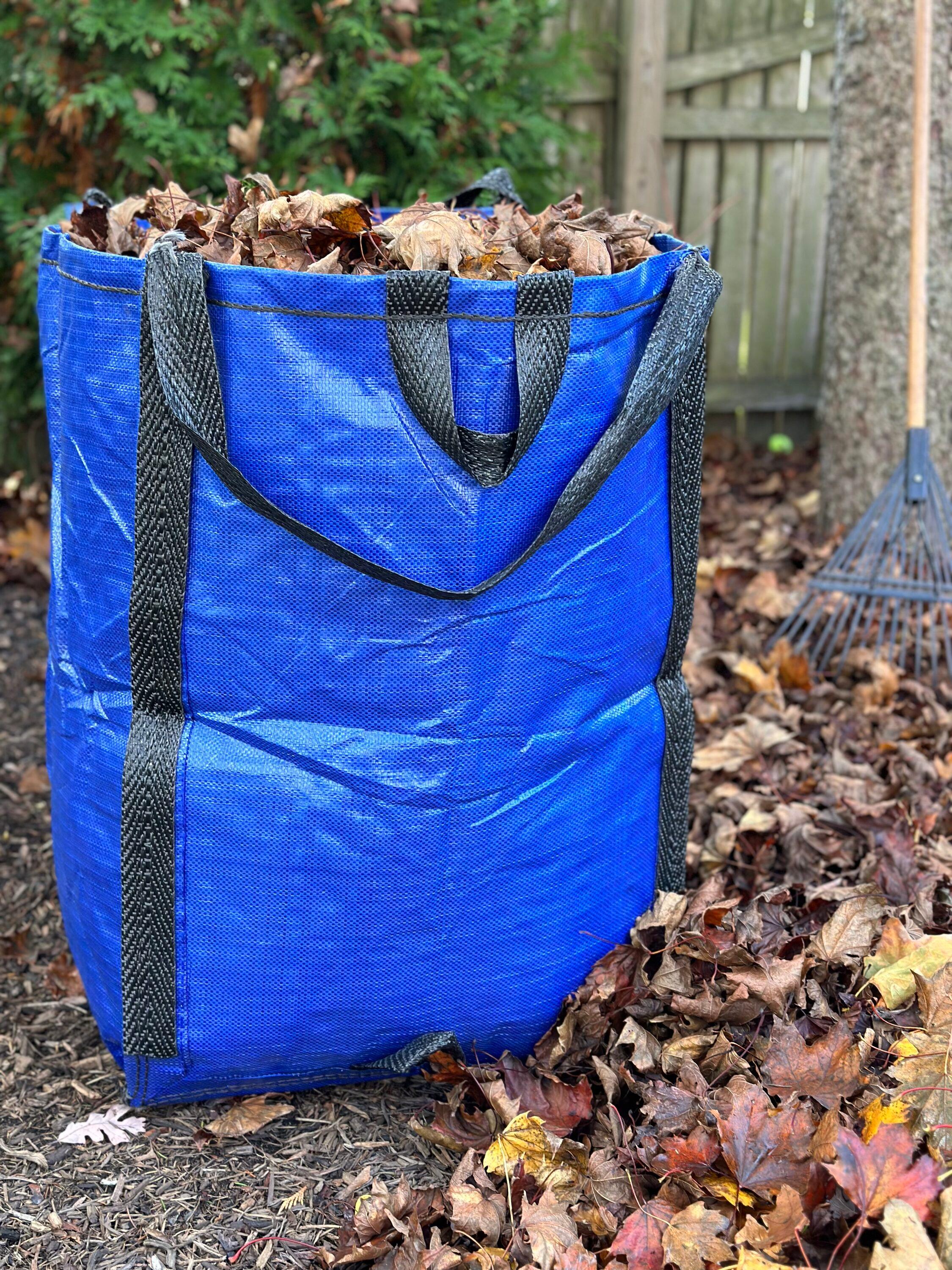 DuraSack DuraSack Home and Yard Bag, Heavy Duty, 20"L x 20"W x 28"H