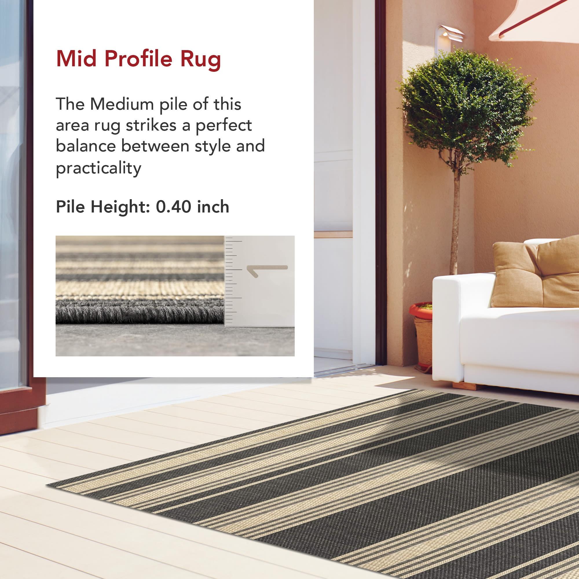 Romy Striped Indoor/Outdoor Area Rug