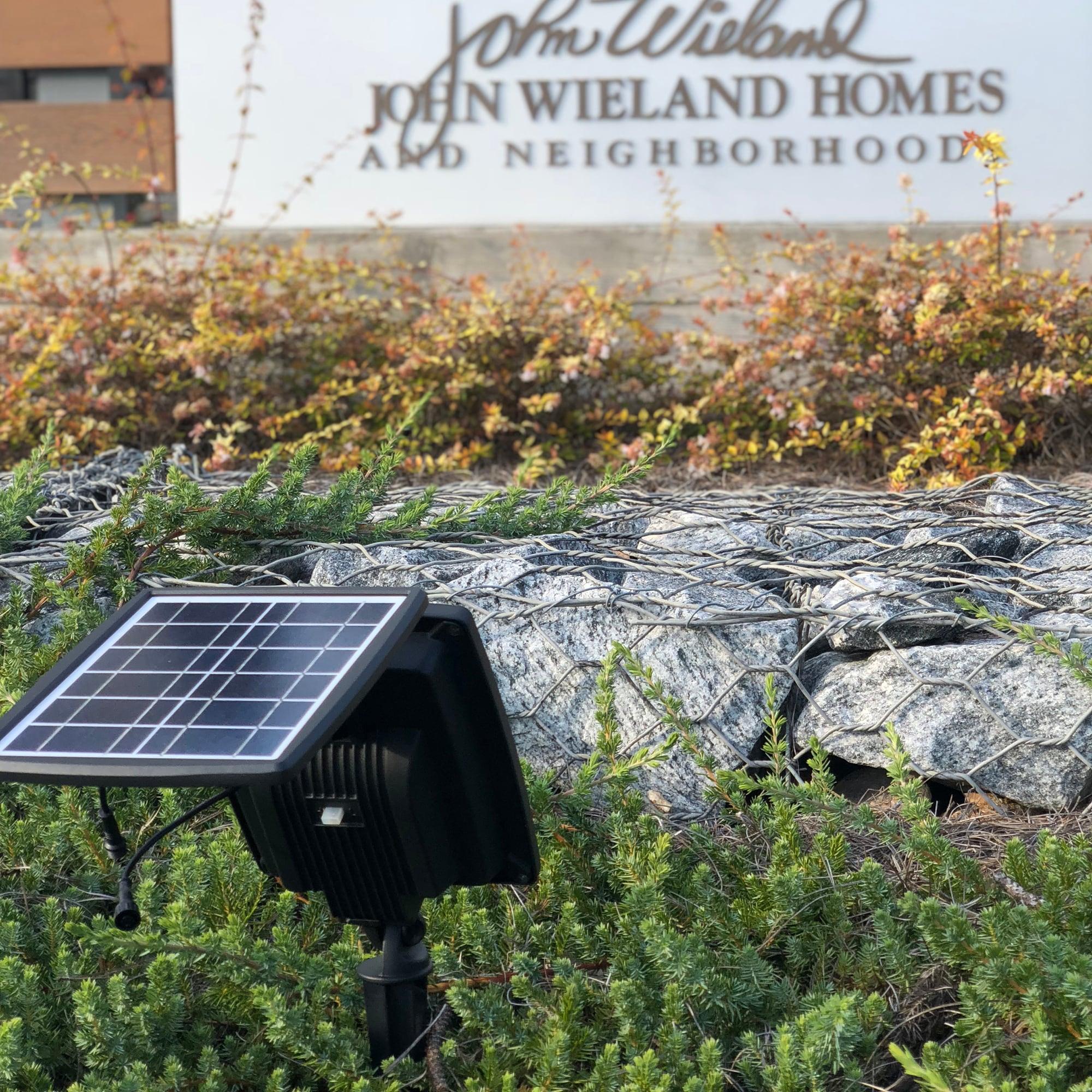 Solar LED Black Outdoor Landscape Flood Spotlight (Set of 2)