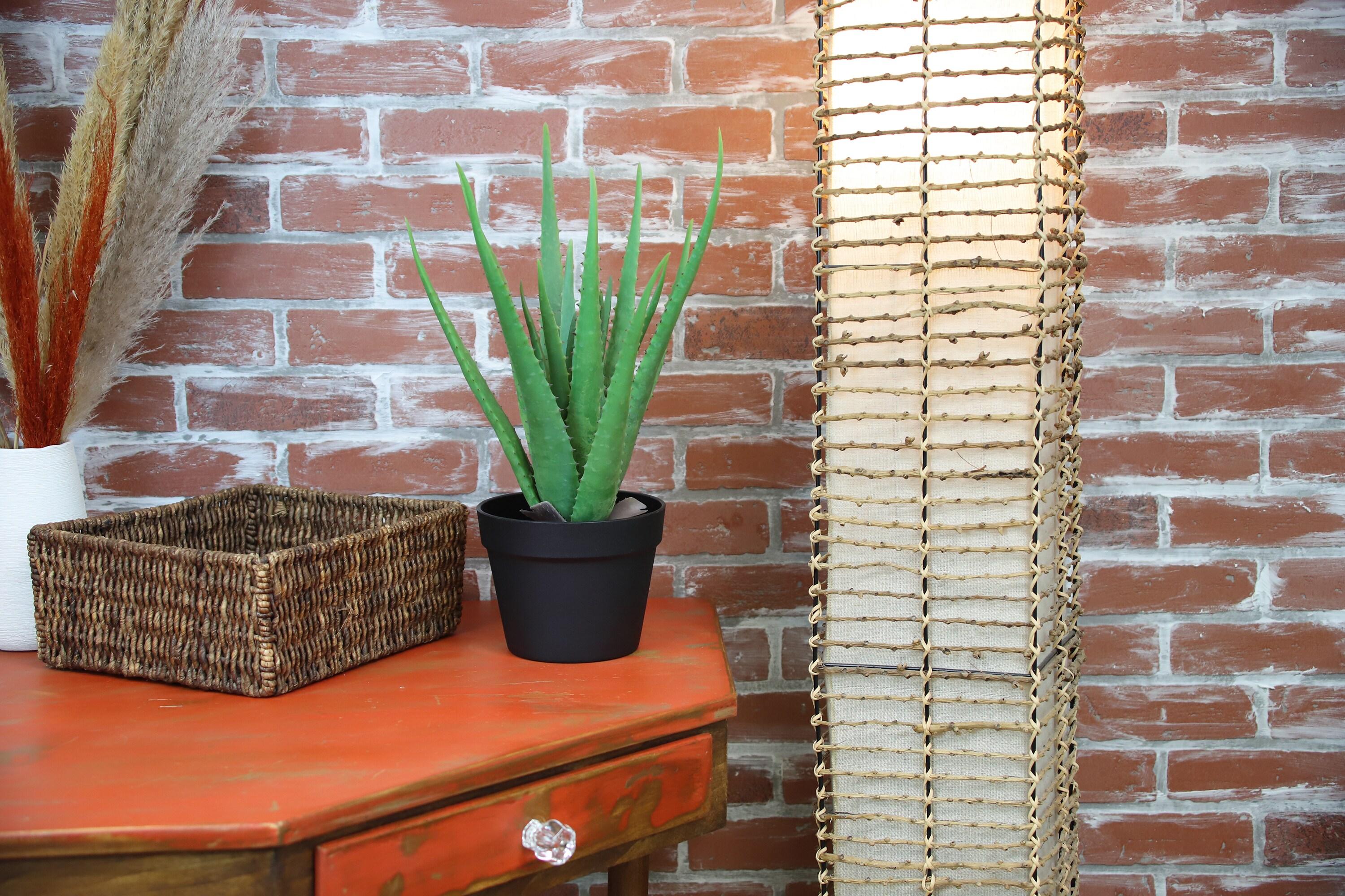 The Mod Greenhouse 19" Artificial Green Aloe Vera Plant in a Matte Black Grower's Pot