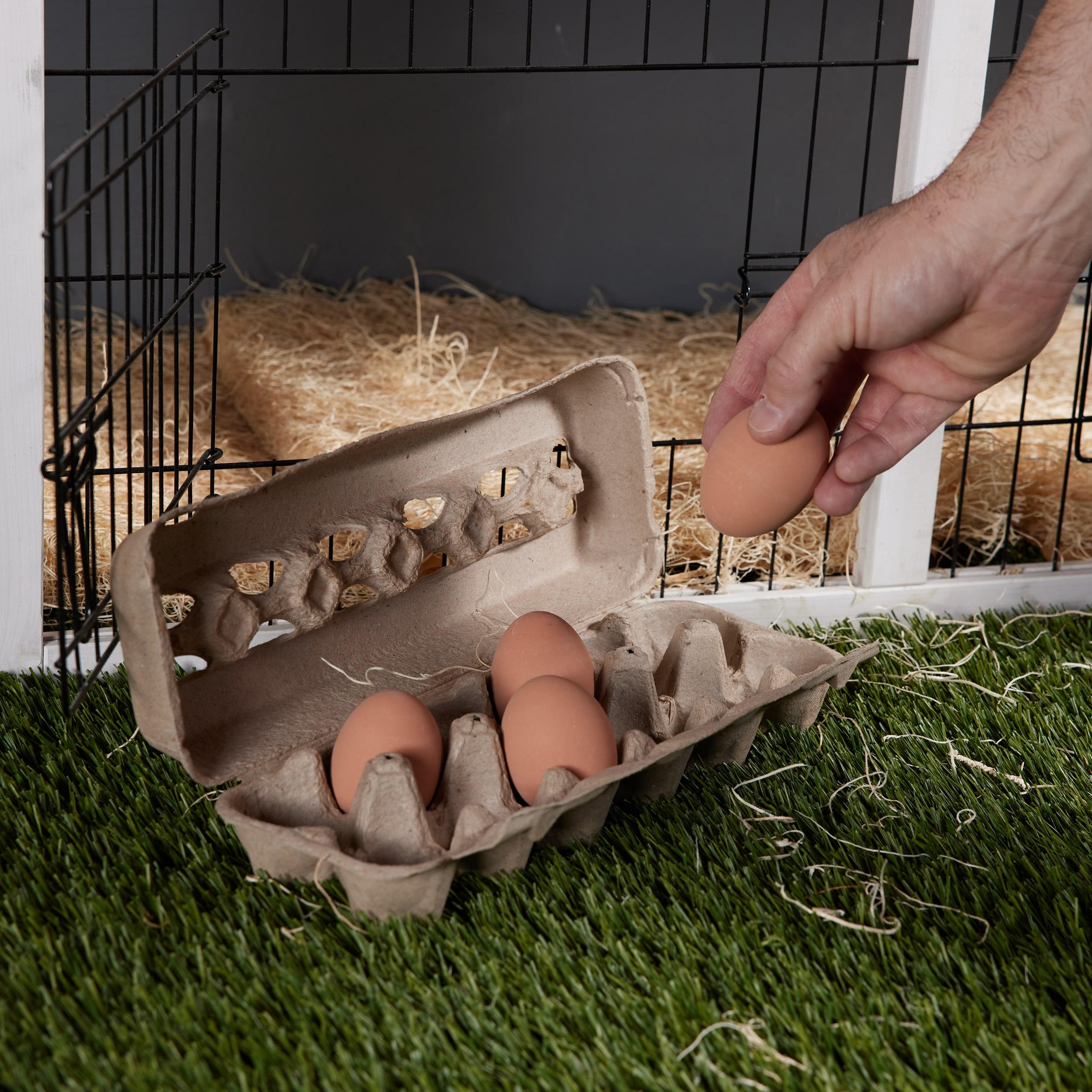 Pecking Order Cardboard Egg Carton 12-pack Dozen Cardboard Egg carton